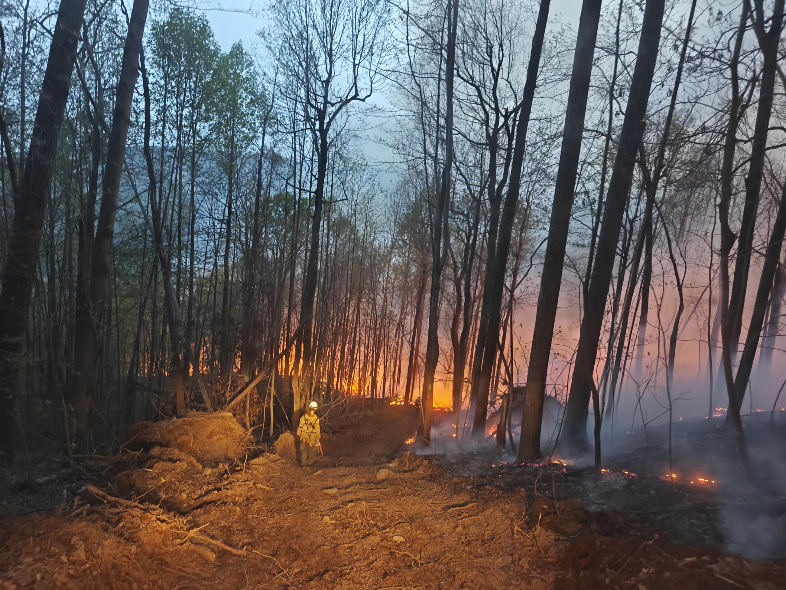 a firefighter in PPE walks a dozerline in a forested area with flames to the right