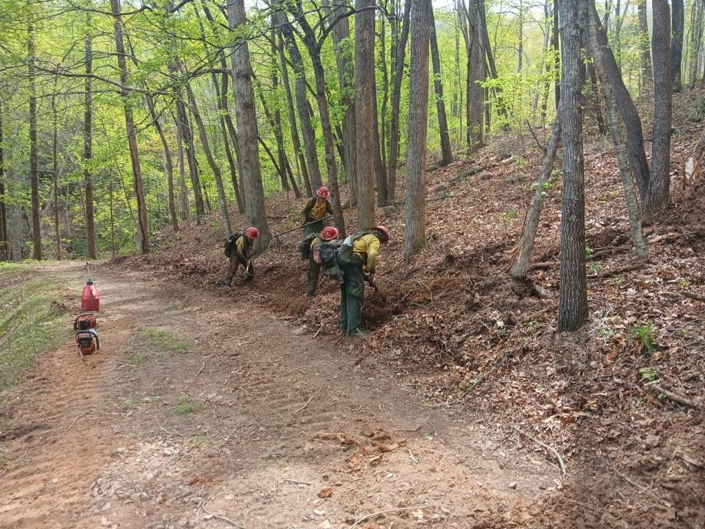 Firefighters work at the side of a dozer line