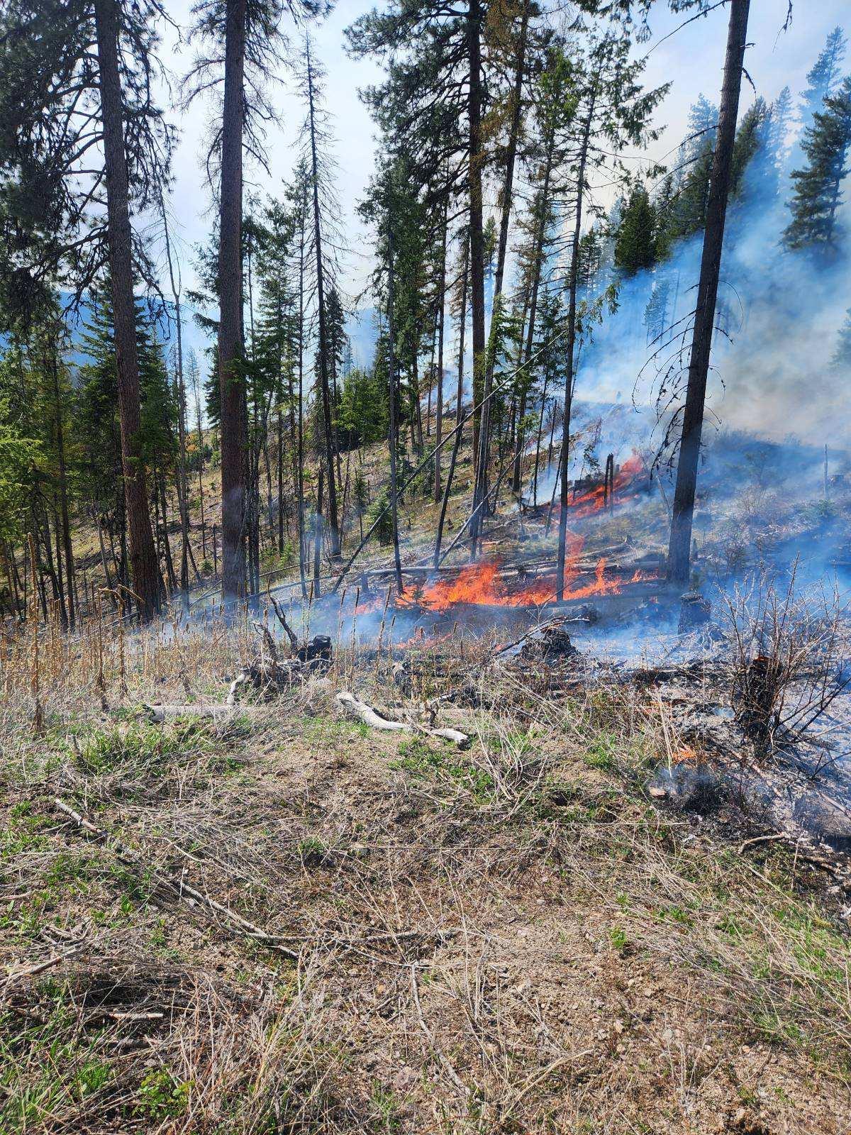 Low intensity Fire burning 