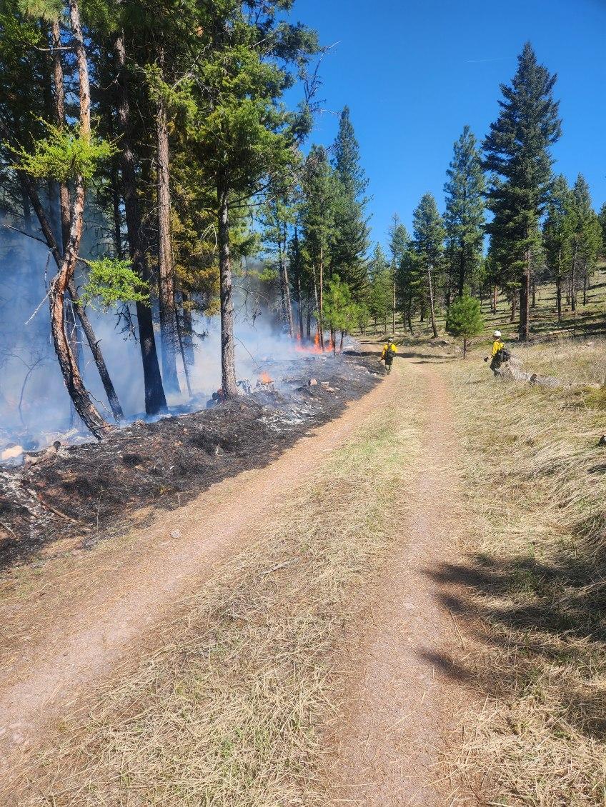 Firefighters on prescribed fire on the Lolo National Forest