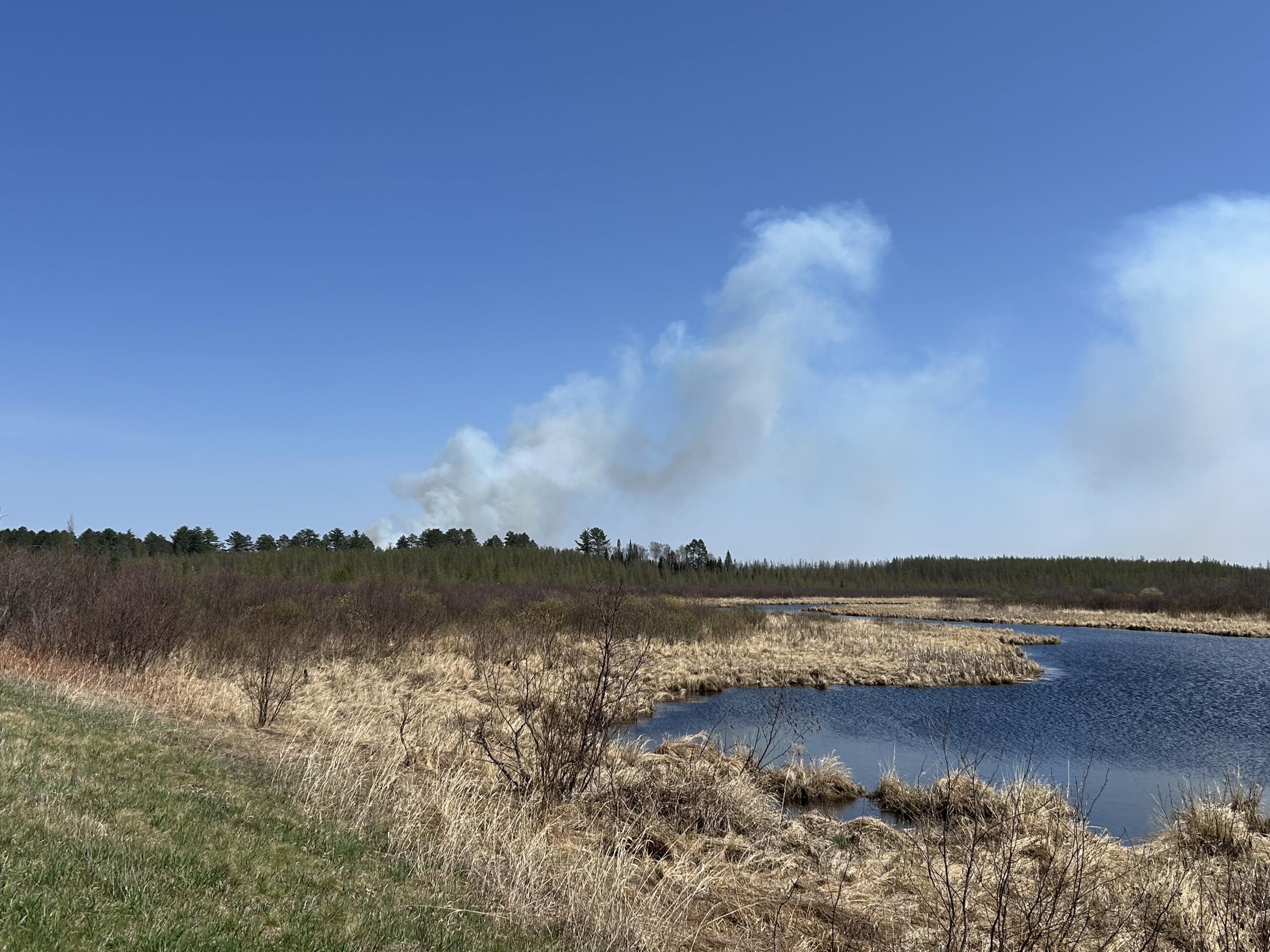 Smoke column from a prescribed fire 