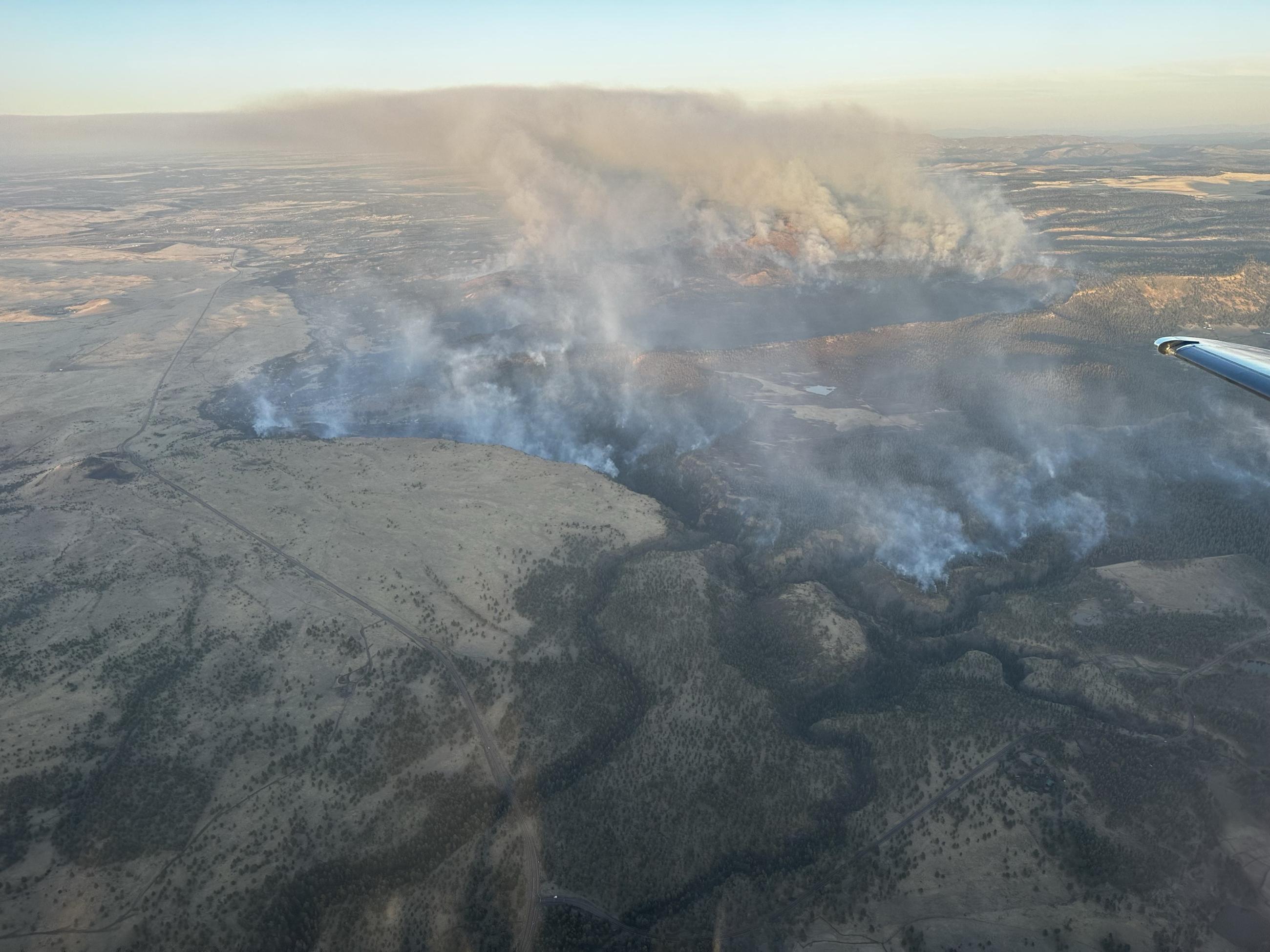 View from an airplane showing smoke rising from forested area.