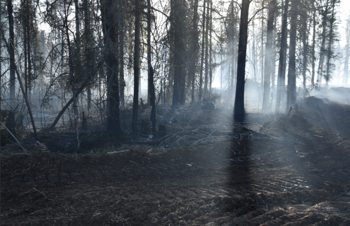 A smoky forest scene with charred trees and a freshly cut dozer line in the foreground, showing lingering fire effects and ongoing containment efforts.