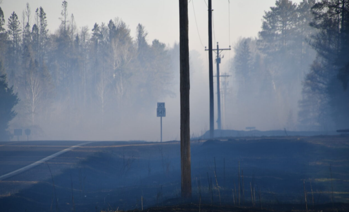 Smoldering trees amid smoke.