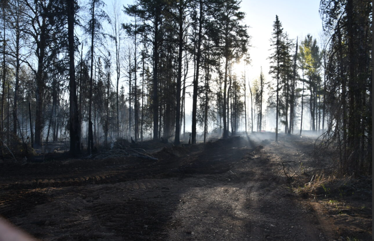 Smoldering trees amid smoke.
