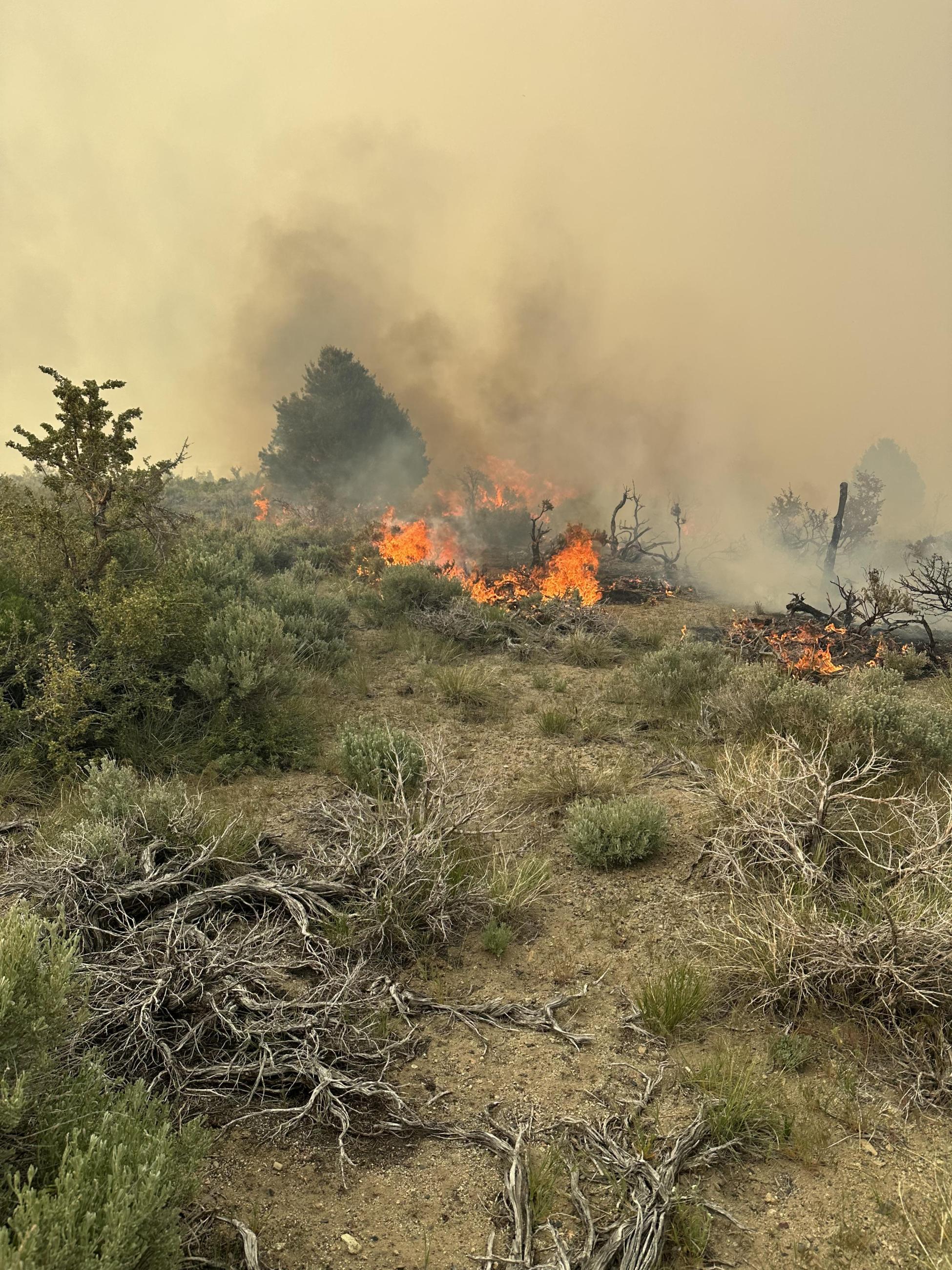 Inn Fire flames, brush, and smoke