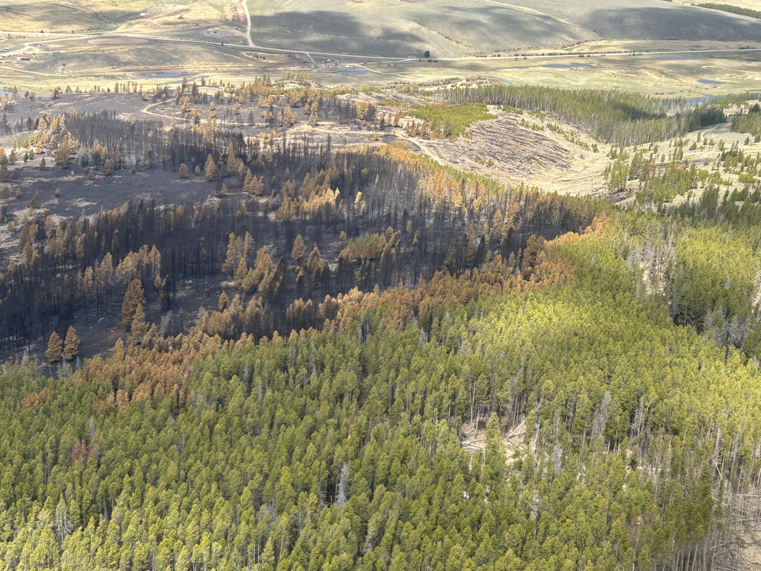 Aerial view of the Sawlog Fire