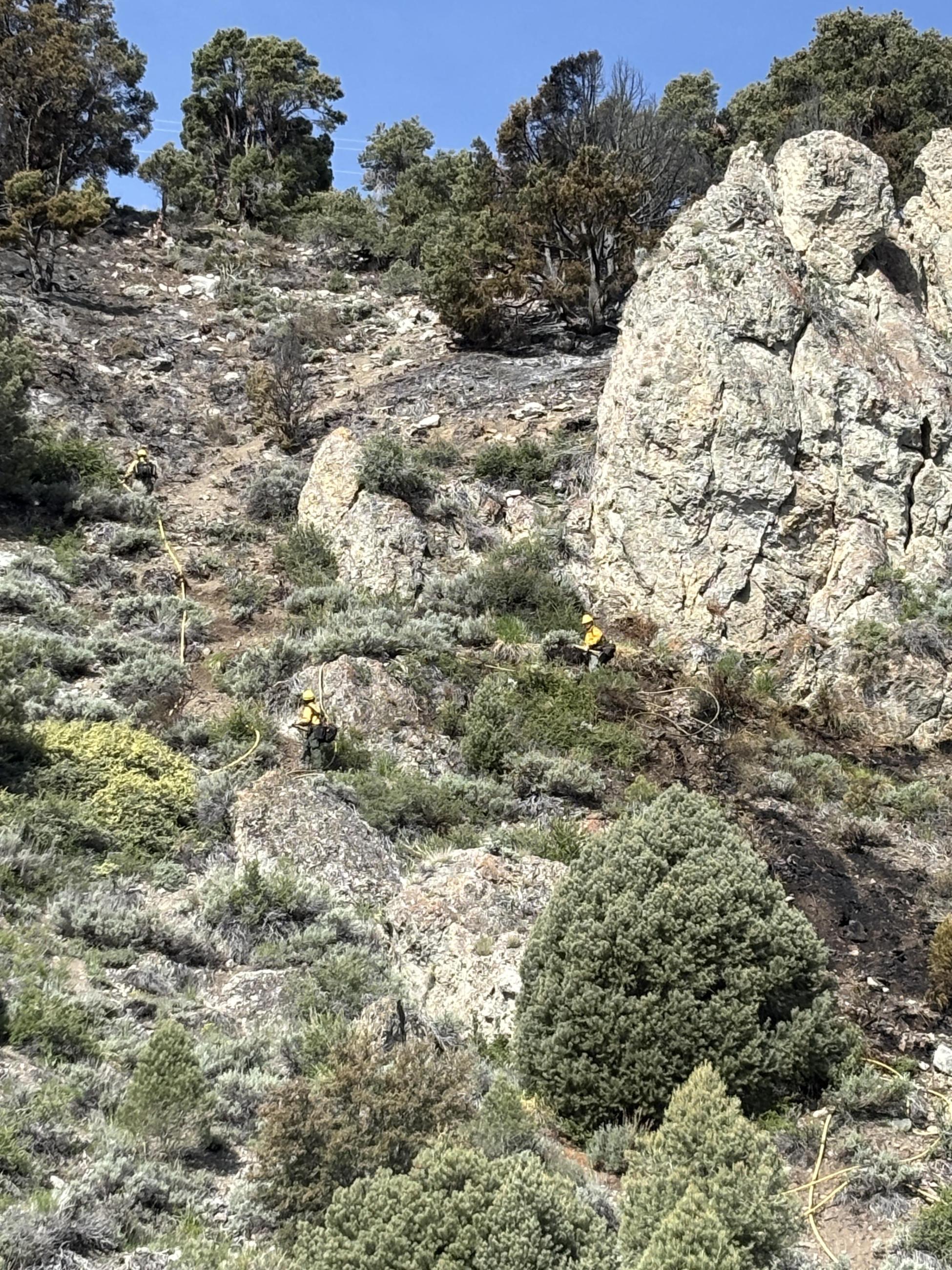 firefighters, rocks, steep slope, shrubs, trees