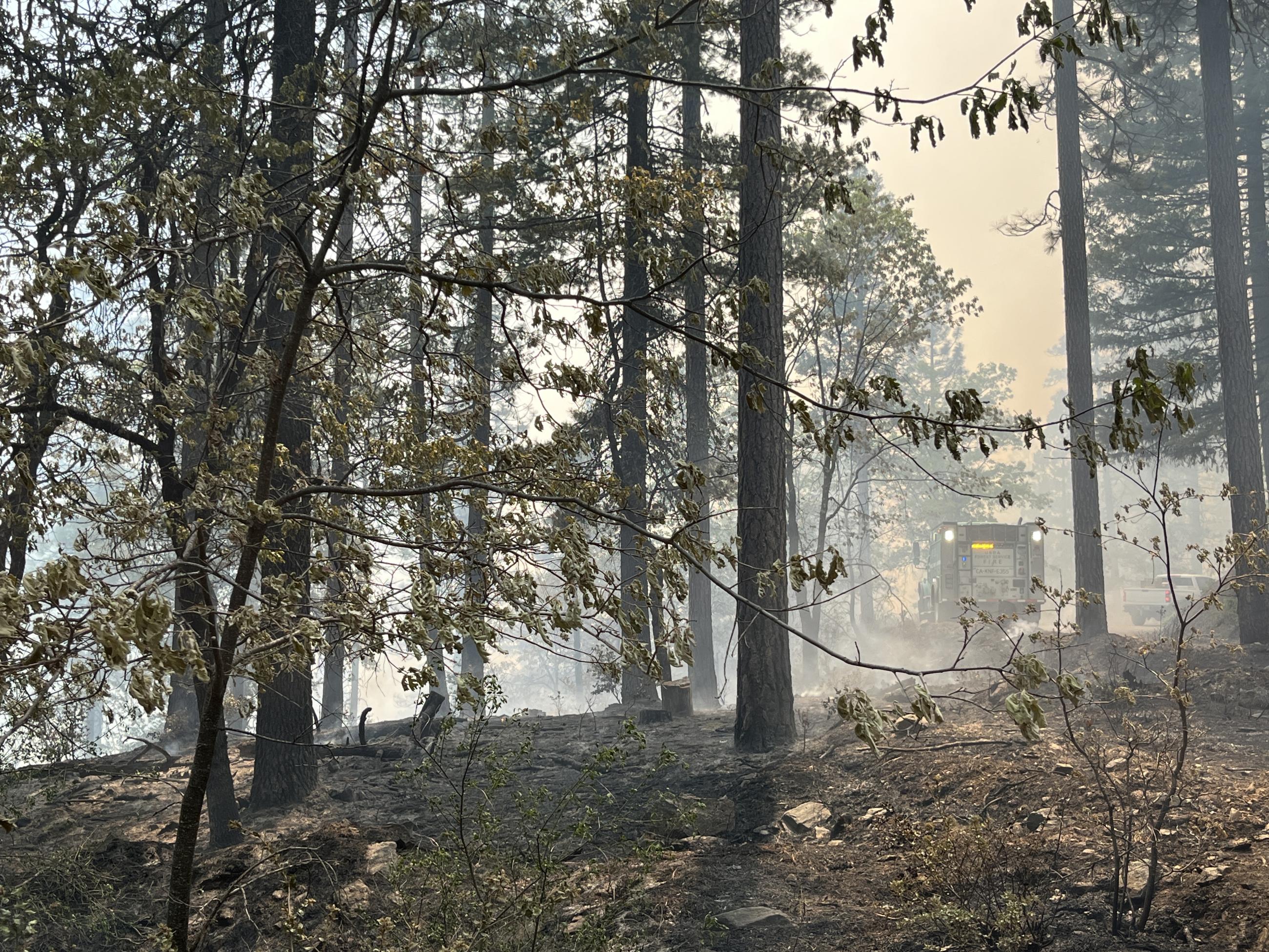 A Klamath National Forest fire engine parked next to the burn, with burned surface fuels in the foreground.