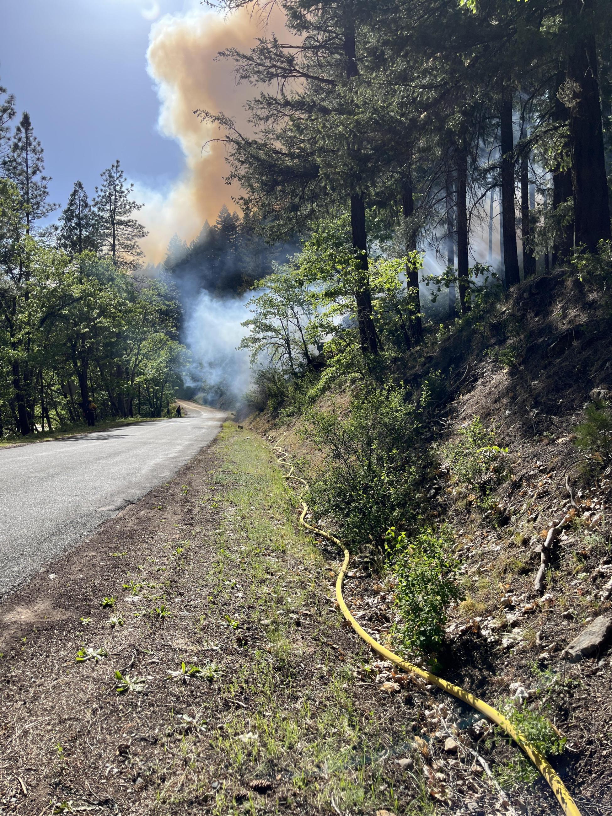 A hoseline running alongside the Scott River Road with smoke from the prescribed burn in the background.