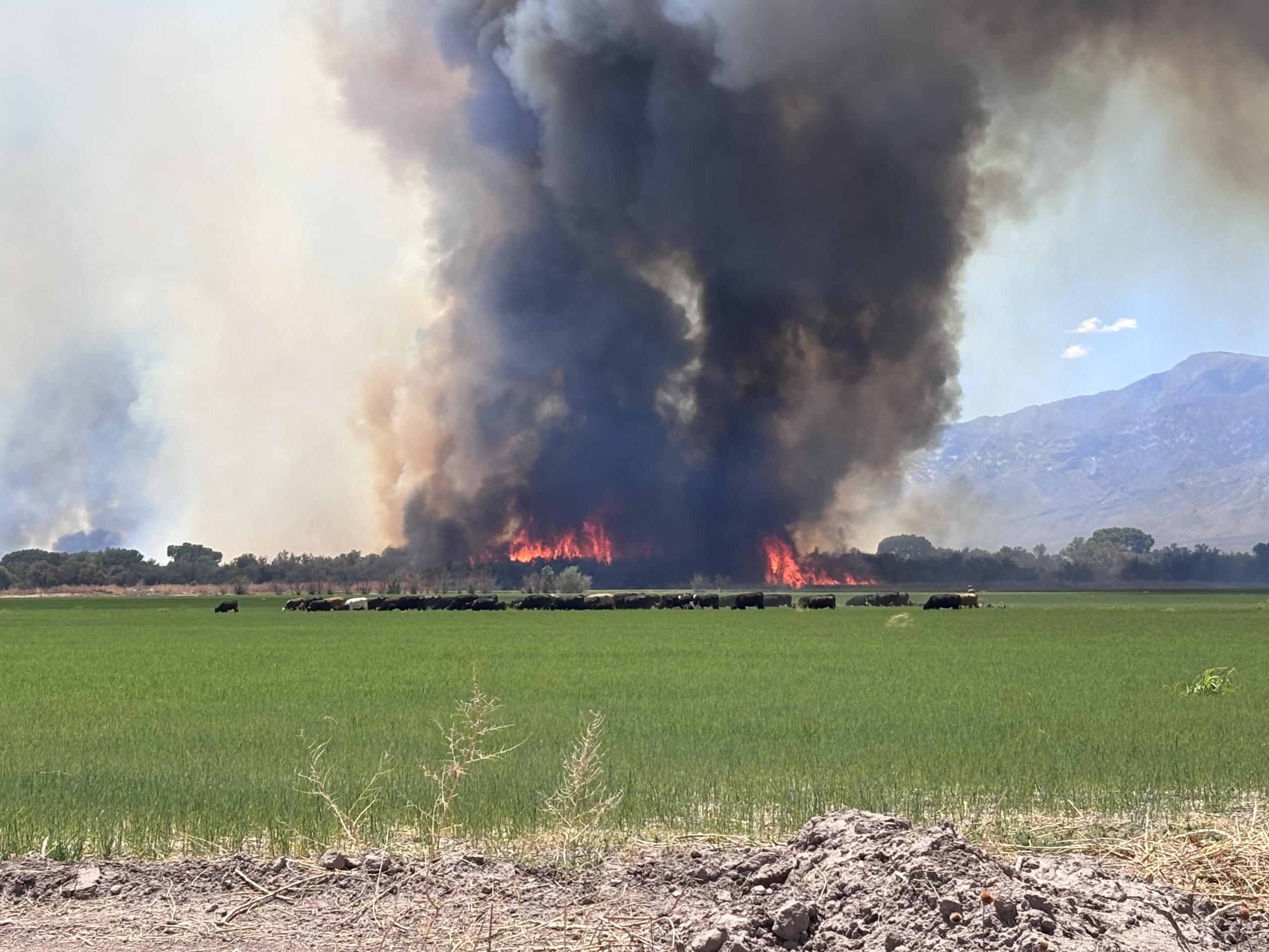 Bryce Fire Burning Near Pima, AZ