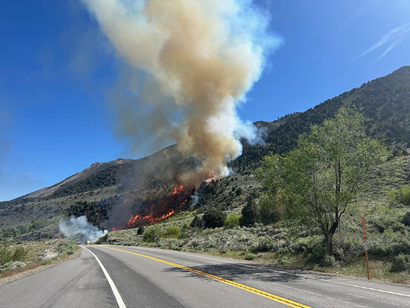 Inn Fire on Inyo National Forest burning near Highway 395