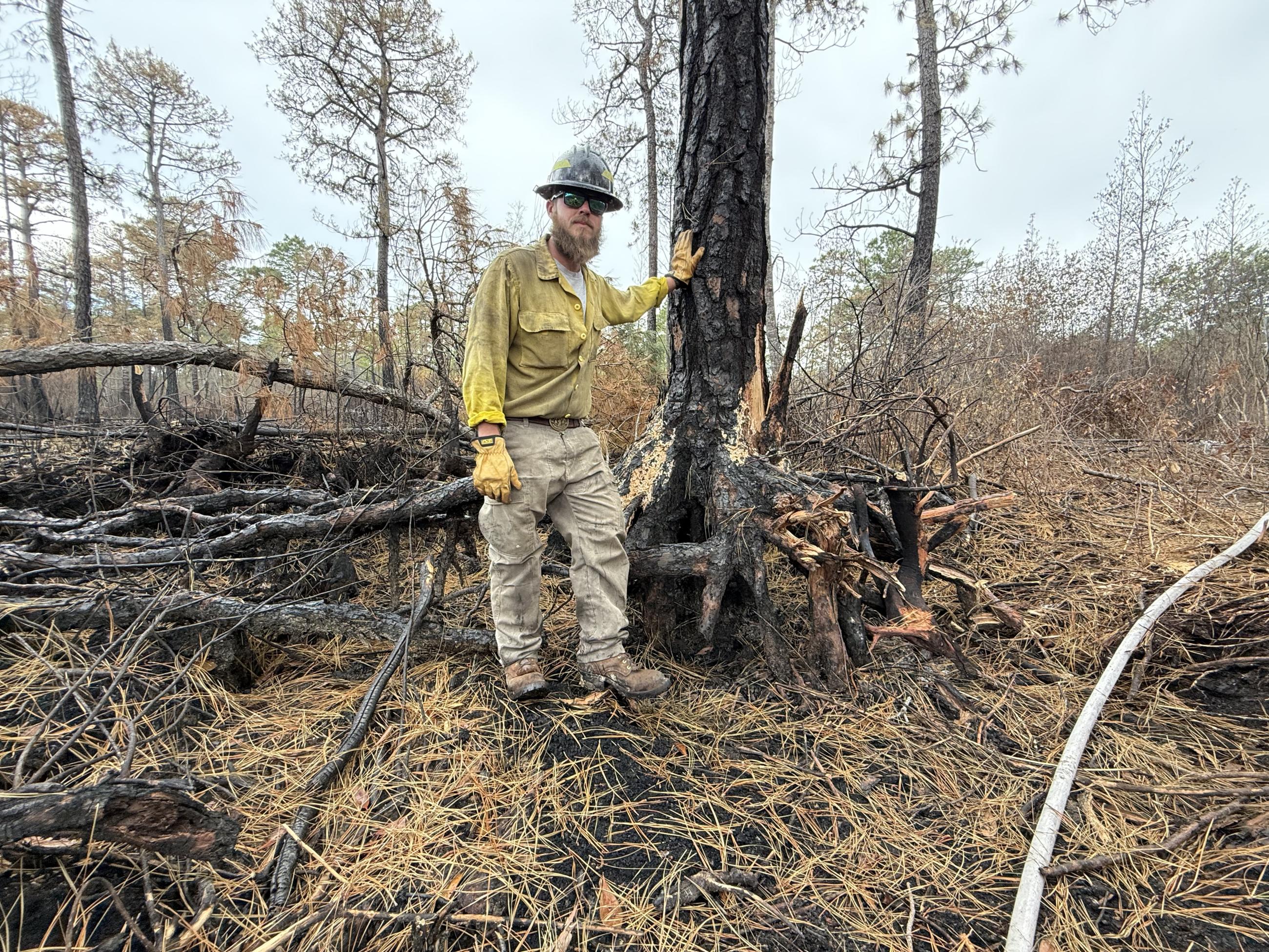 Firefighter stands by exposed tree roots after soils have burned under the tree
