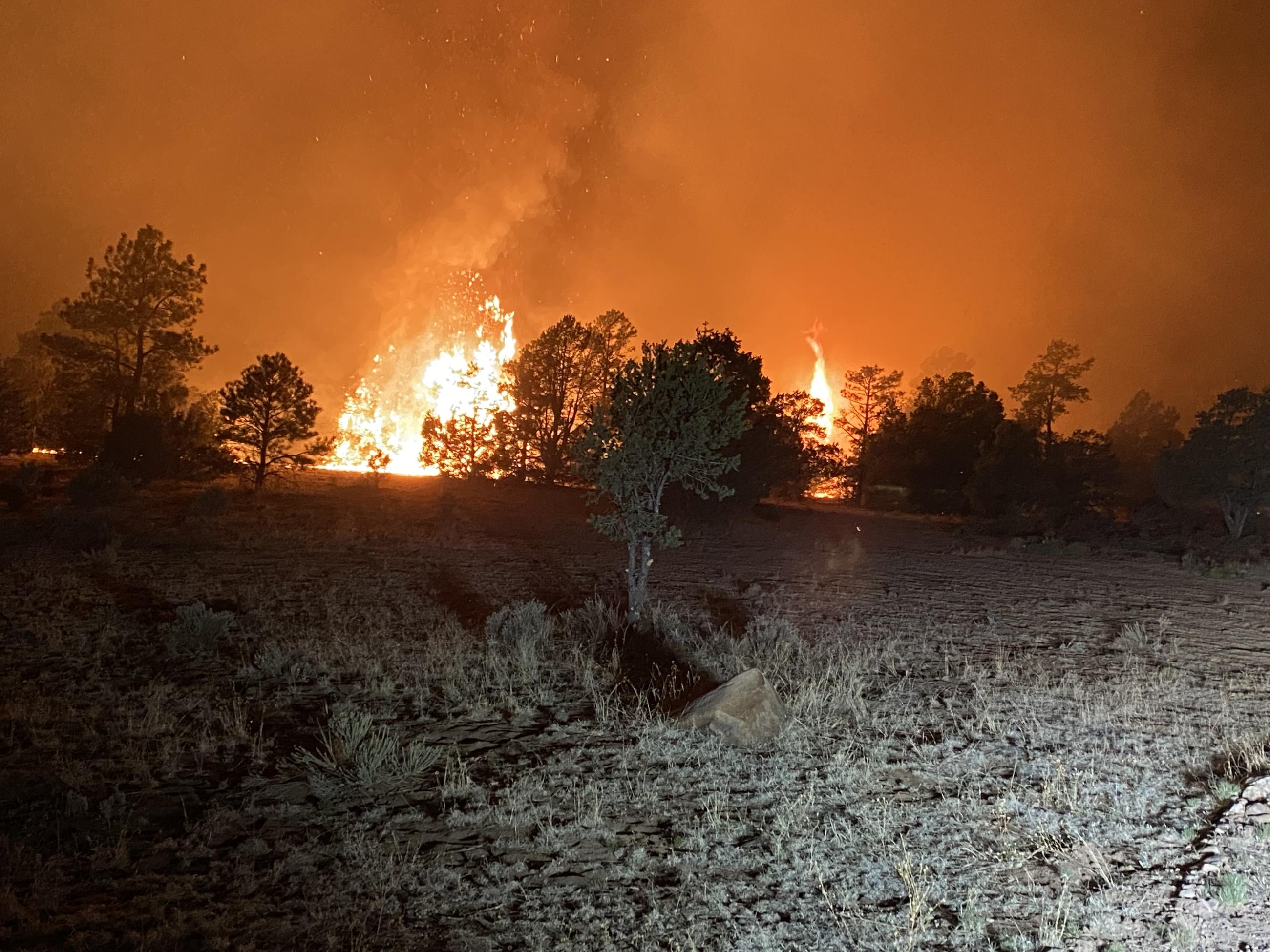 view of fire at night