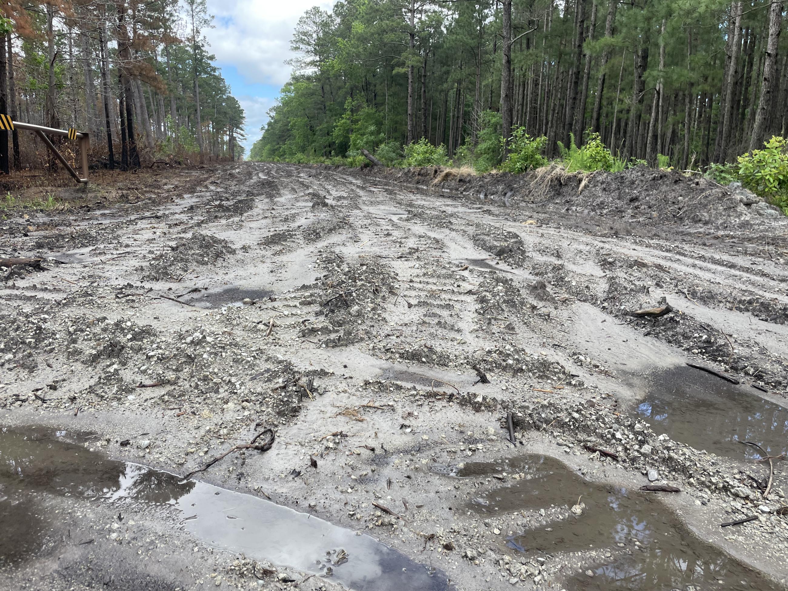 Muddy dirt road being used as fireline. Full of puddles and ruts.