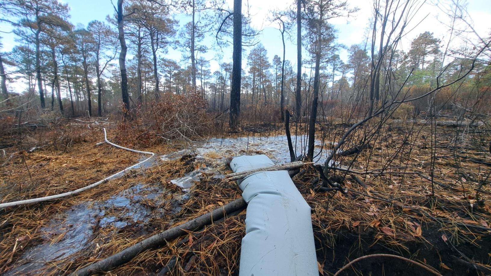 Hose in burnt forest delivers water to remaining ground fire