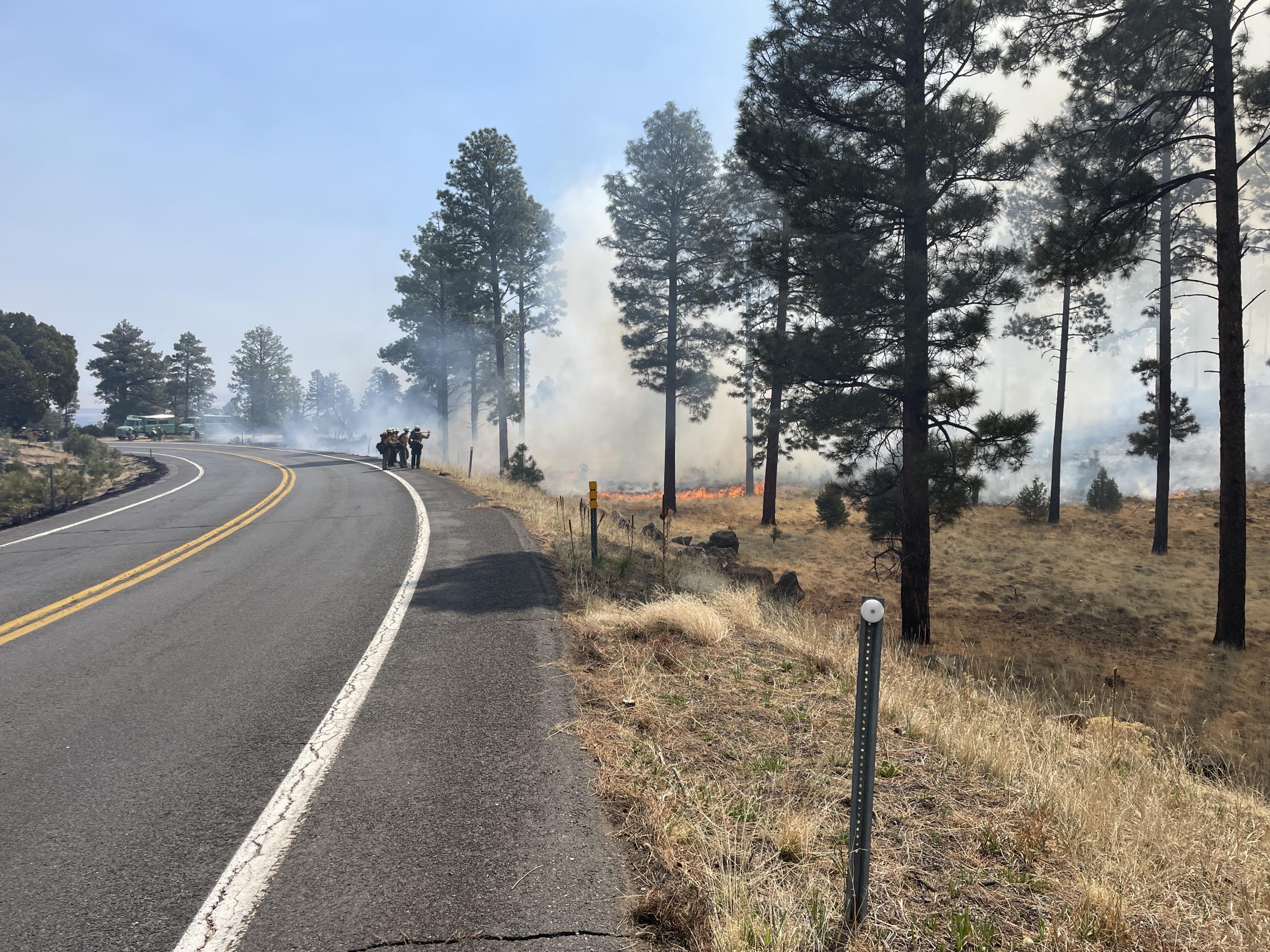 Firefighters lighting fires along a road next to a forest.