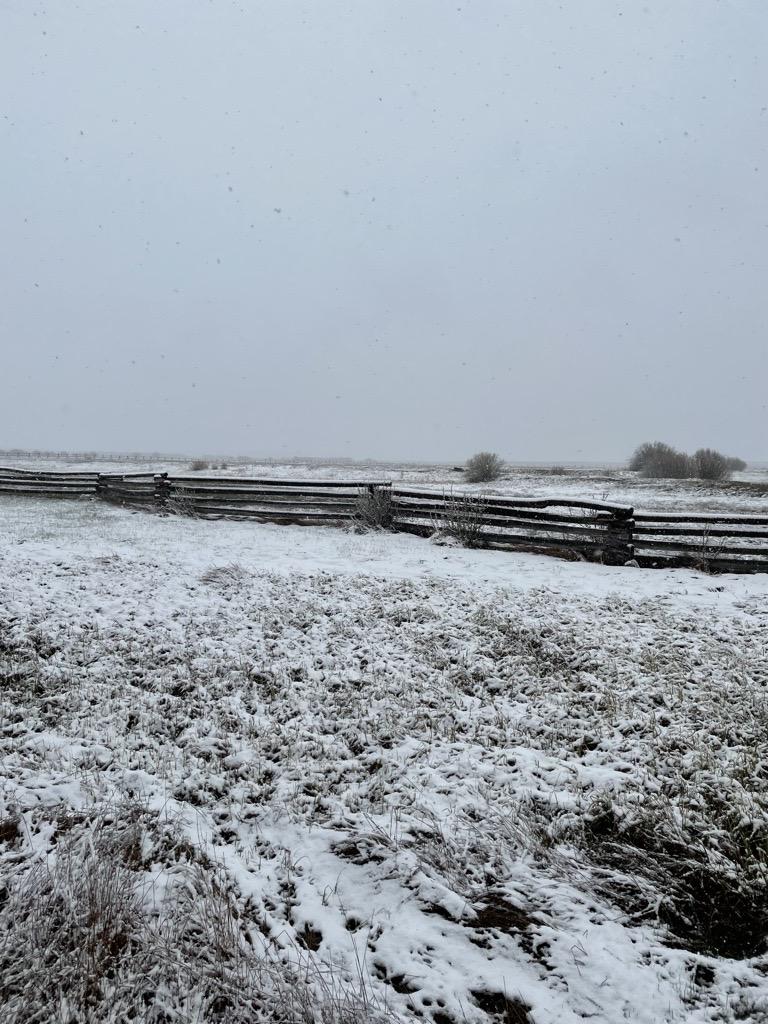 A fresh coat of snow blankets the ground and fence line.