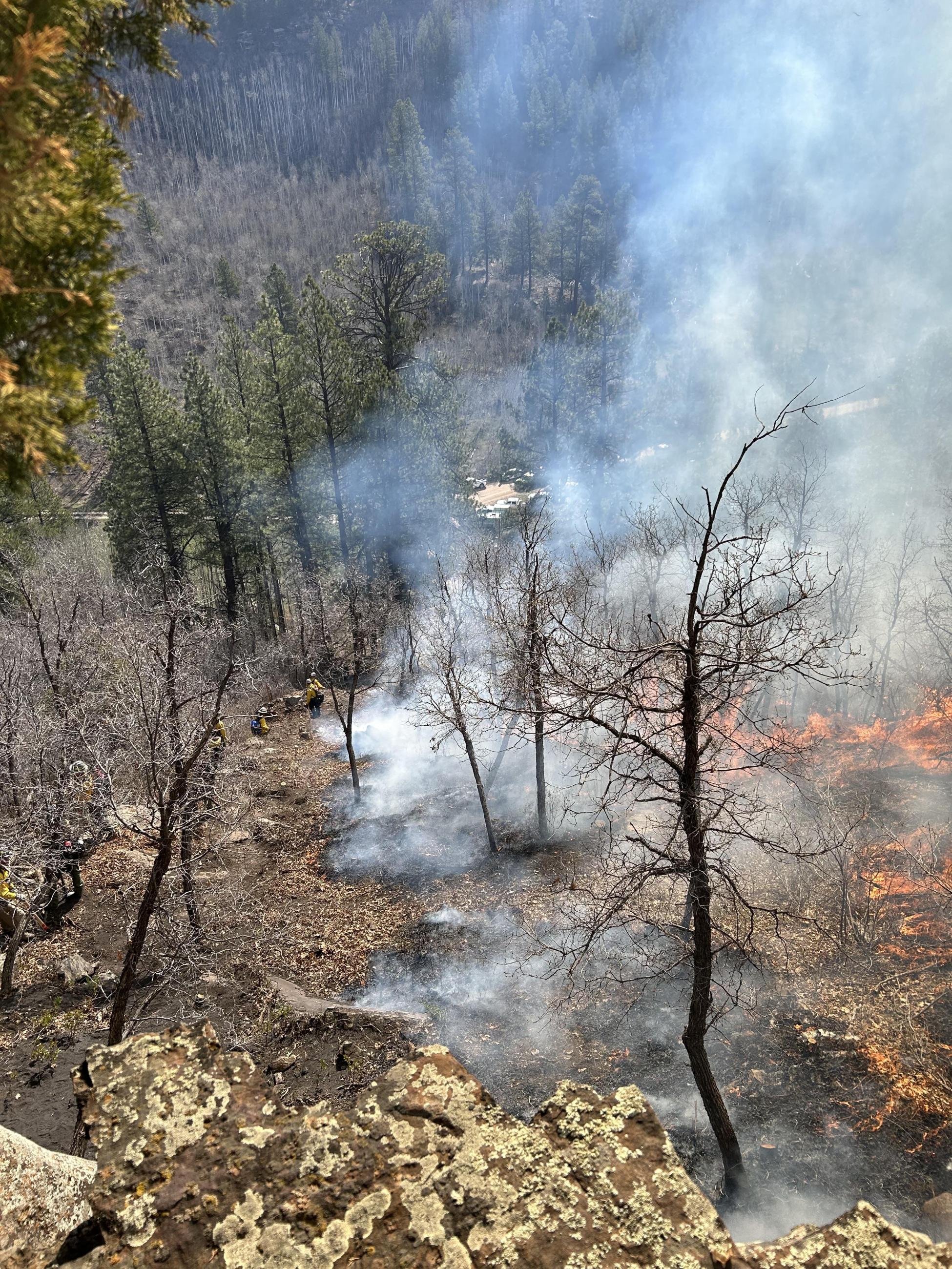 A view into a canyon in the Boggy Draw area of the San Juan National Forest. Fire can be seen burning leaf litter among Gambel oak bushes with fire personnel working in the distance.