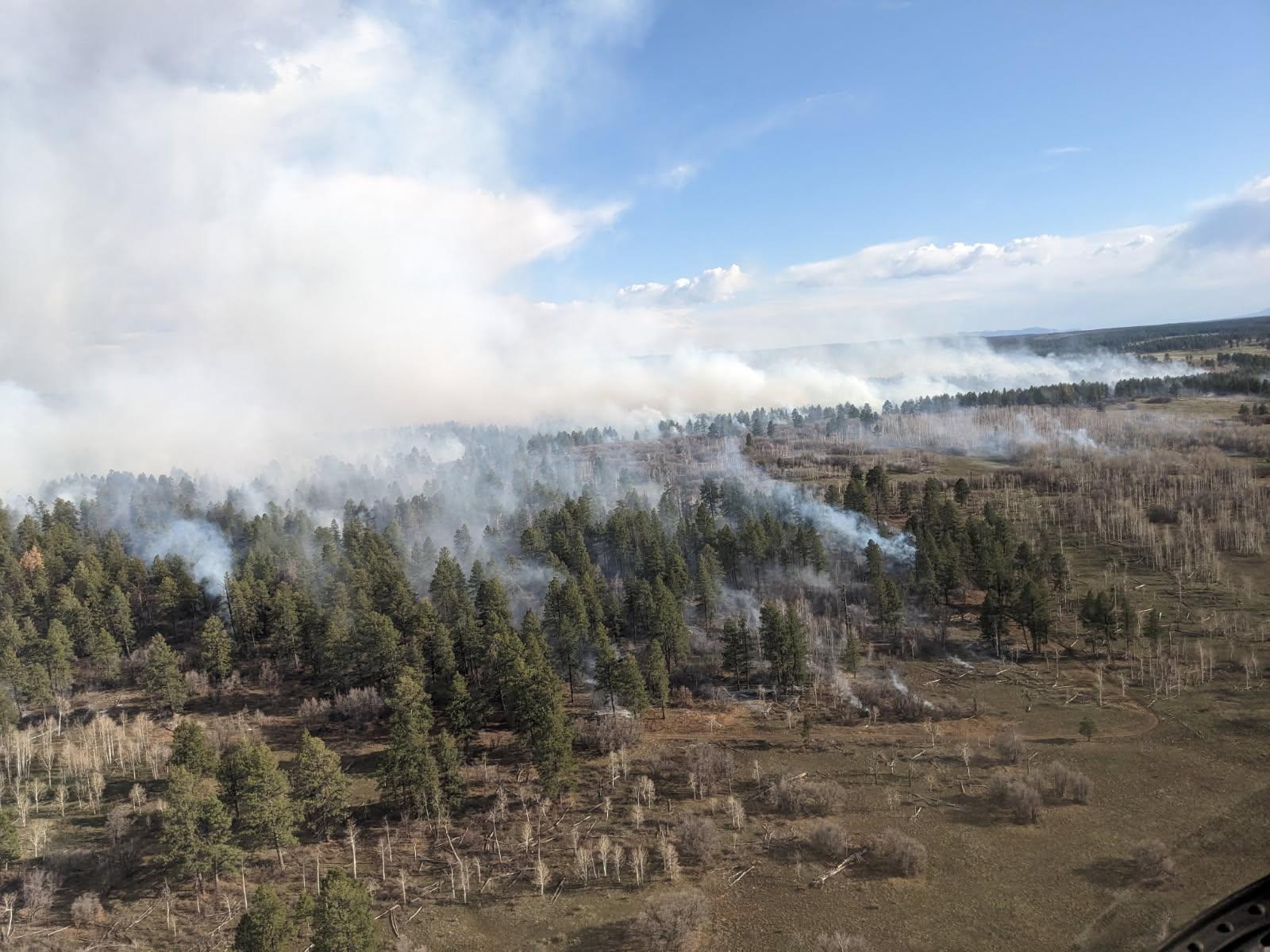 An aerial view of a prescribed fire in the San Juan National Forest. White smoke rises from among ponderosa pine trees.
