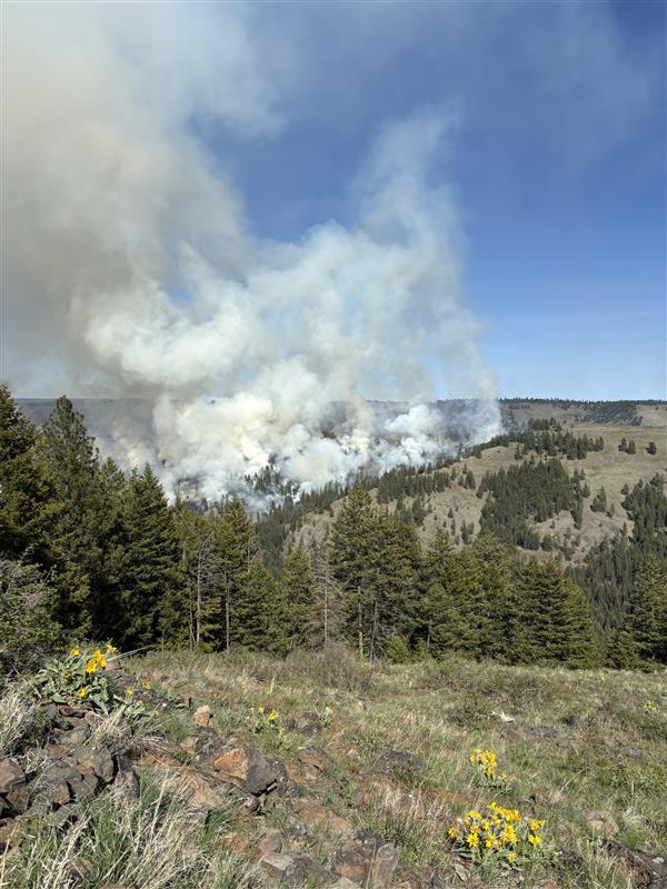 Operational photos of starvation 9 prescribed fire.
