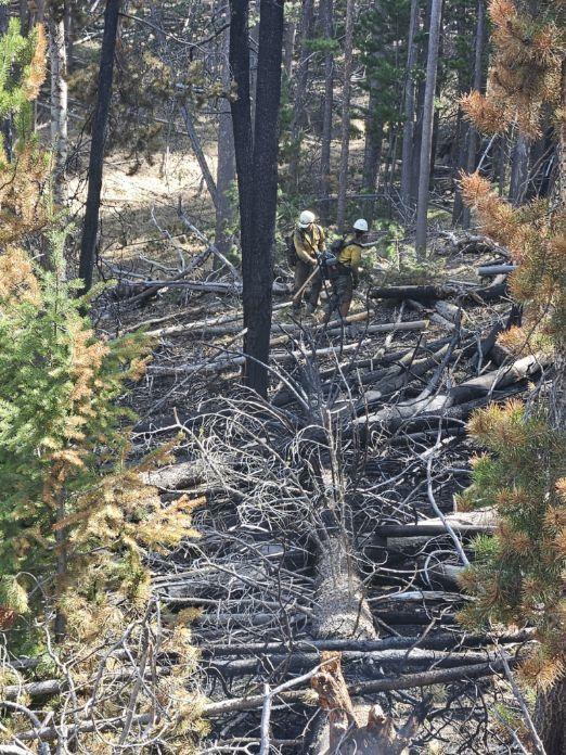 Firefighters working heavy down and dead timber 