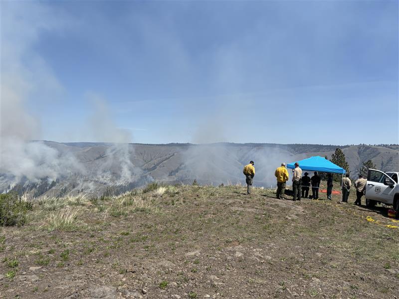 Operational photos of Starvation 9 prescribed fire. 