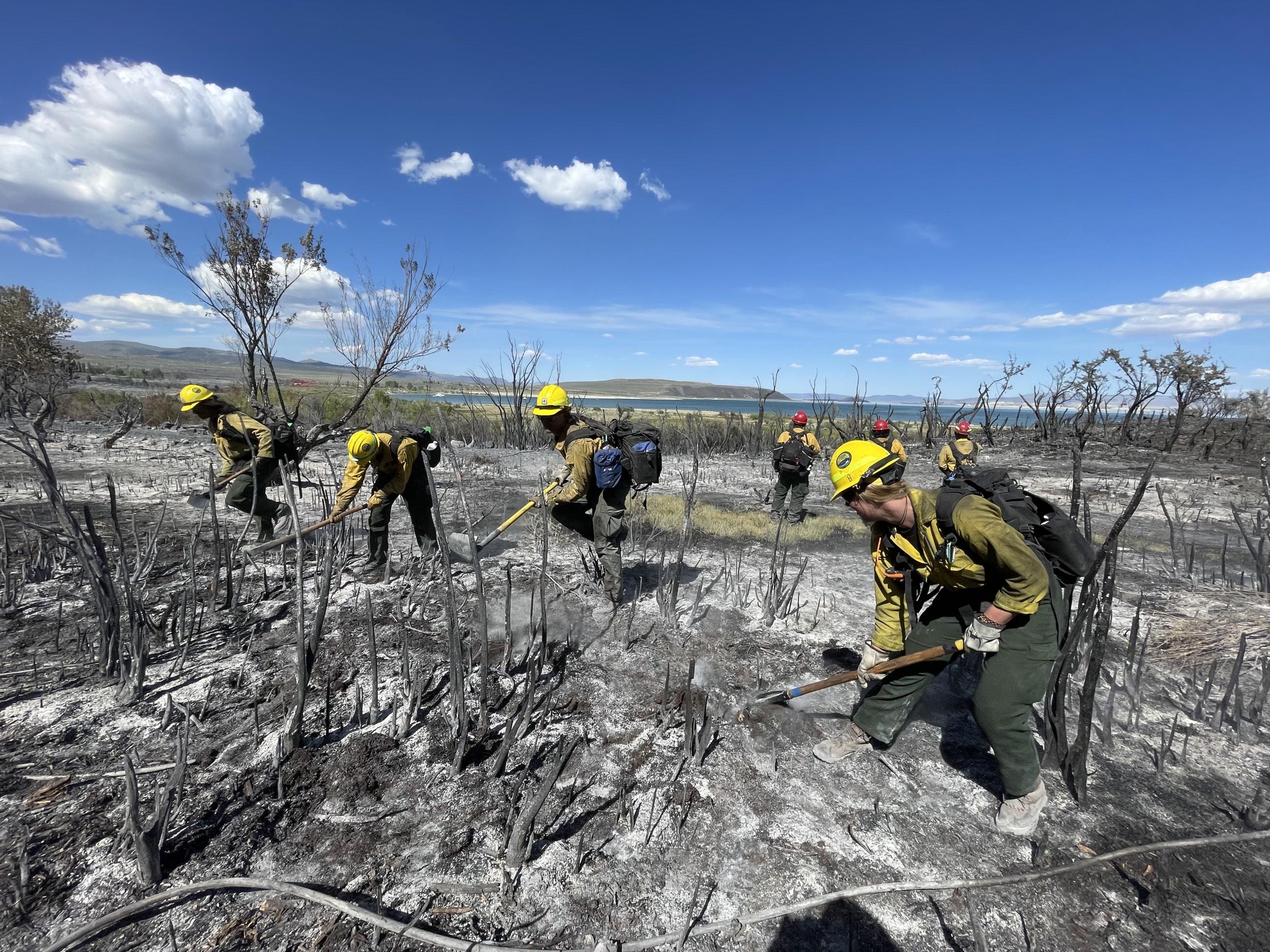 firefighters, charred ground, sky