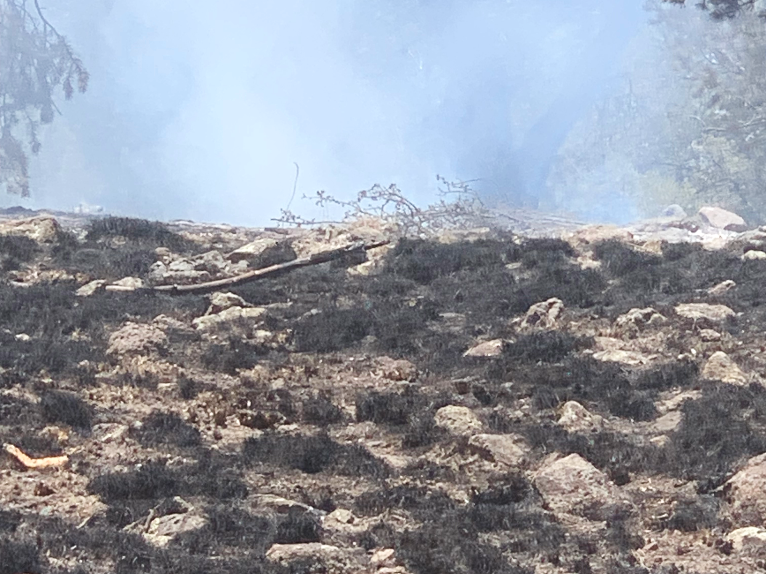 black clumps of low grass are pictured in the lower half of the photo and light white smoke shows in the upper half of the photo