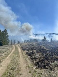 Smoke column rises from the timber and sagebrush, along a dirt road in the Beaverhead-Deerlodge National Forest
