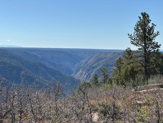 Dolores Rim Overlook
