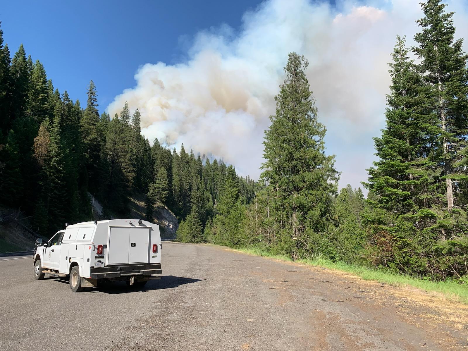photo of smoke column rising from wildfire