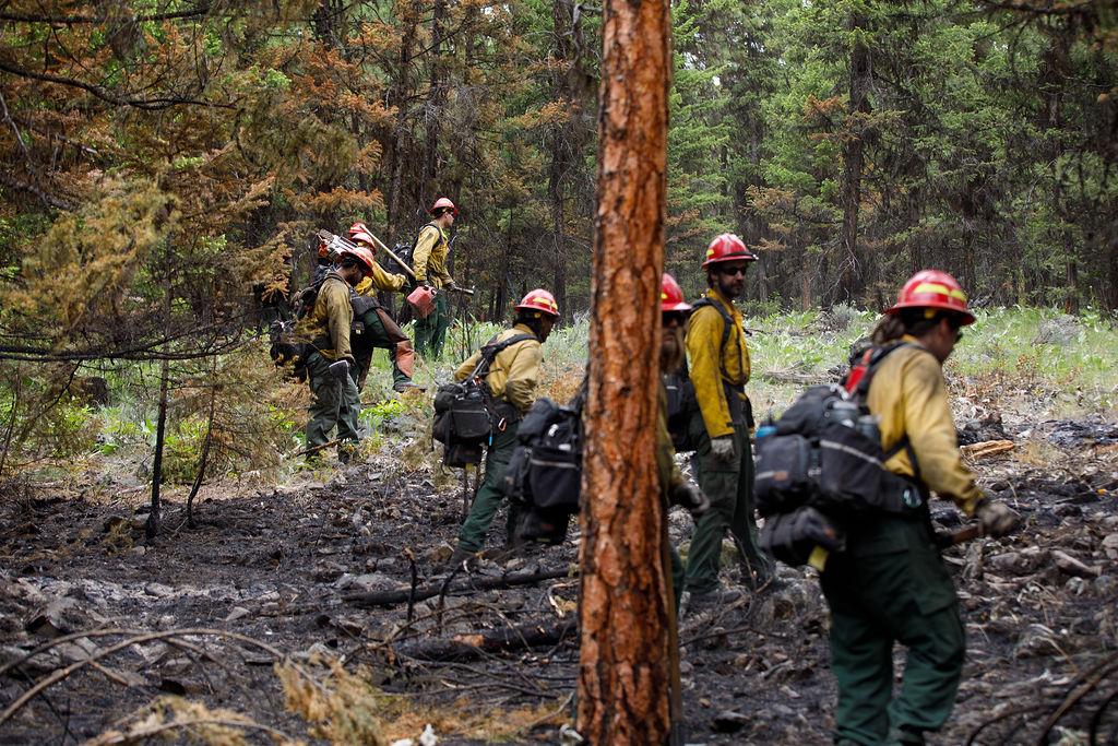 Crews gridding the fireline on the Banana Lake Fire 06/06/2025