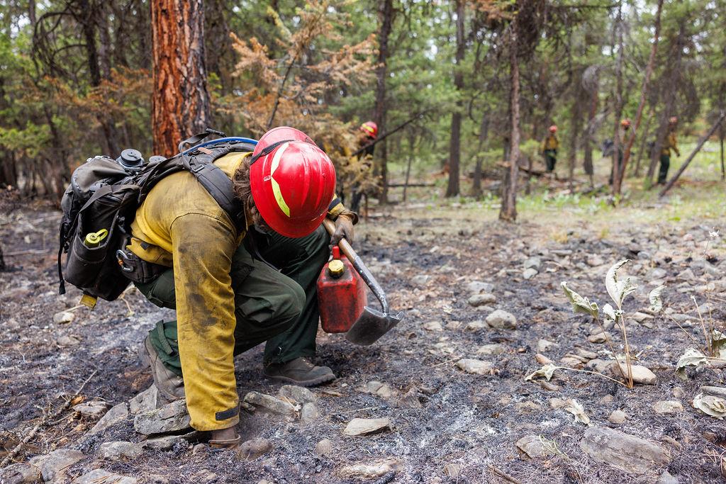 Cold trailing on the Banana Lake Fire 06/06/2025