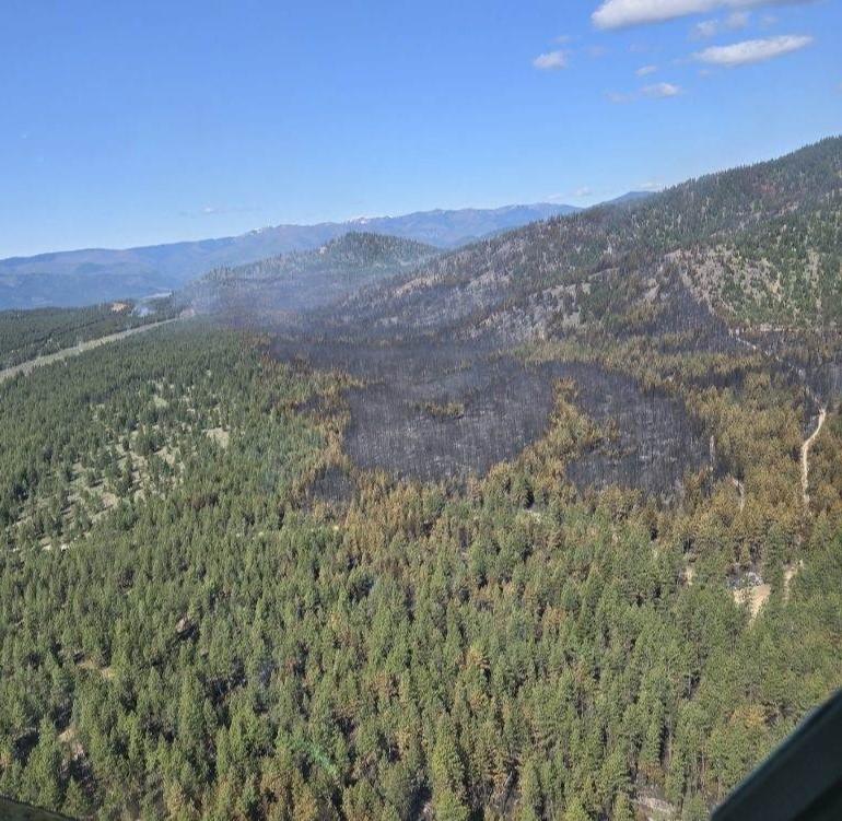 Aerial photo of Banana Lake Fire footprint