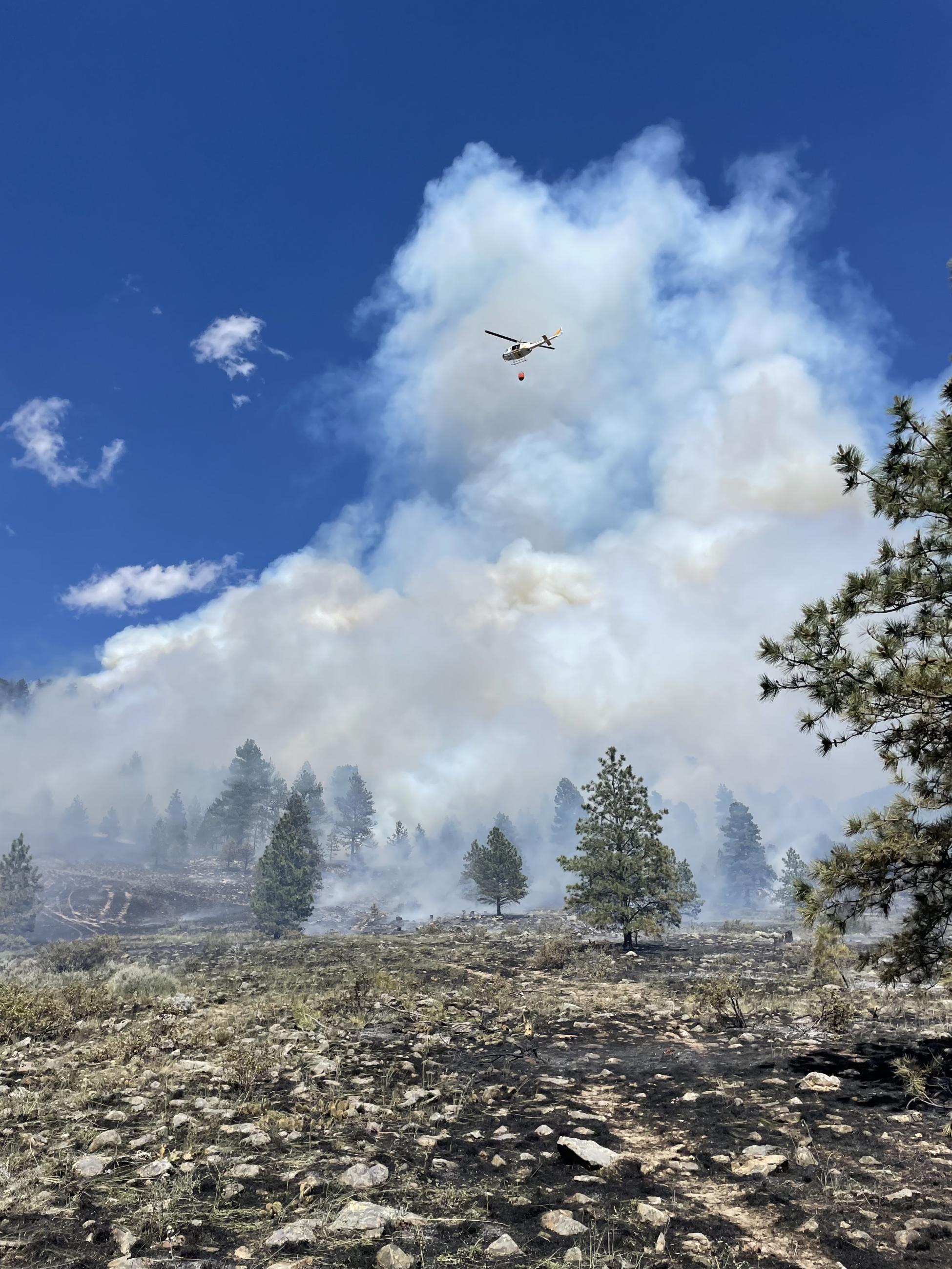 Helicopter flies over burned perimeter of fire