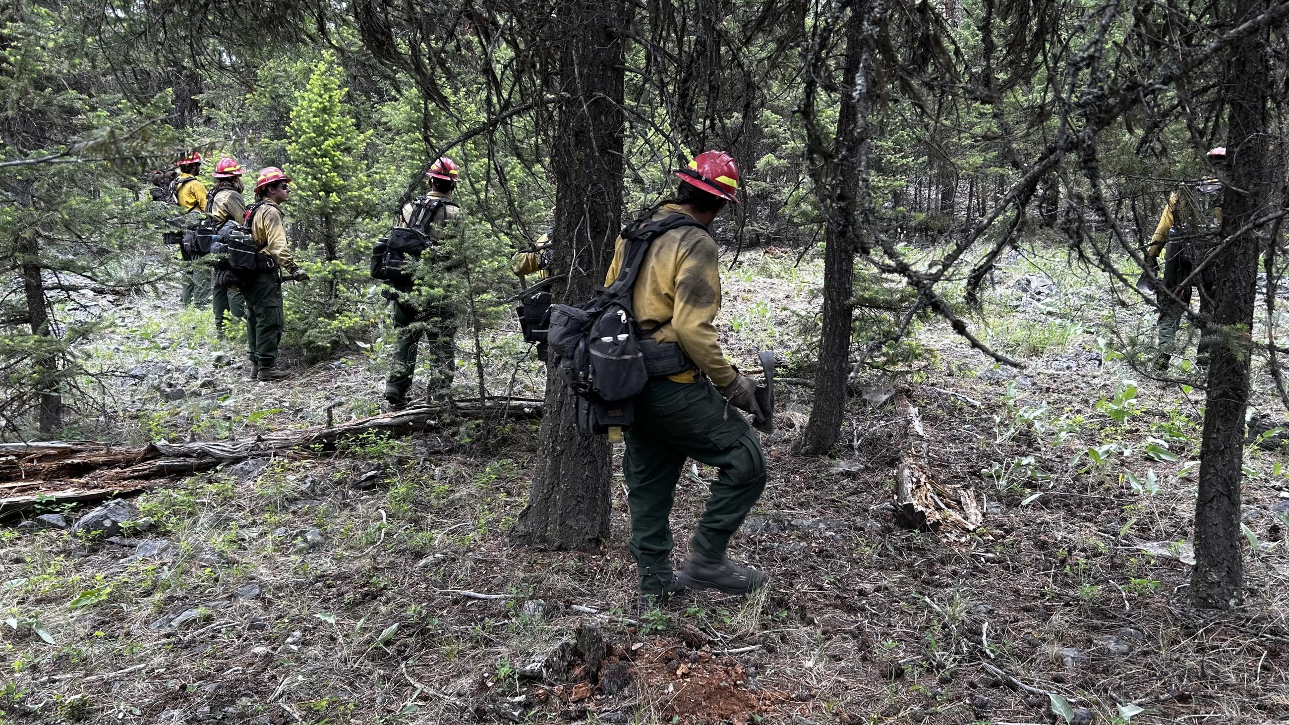 Crews gridding and mopping up the fireline on the Banana Lake Fire 06/06/2025