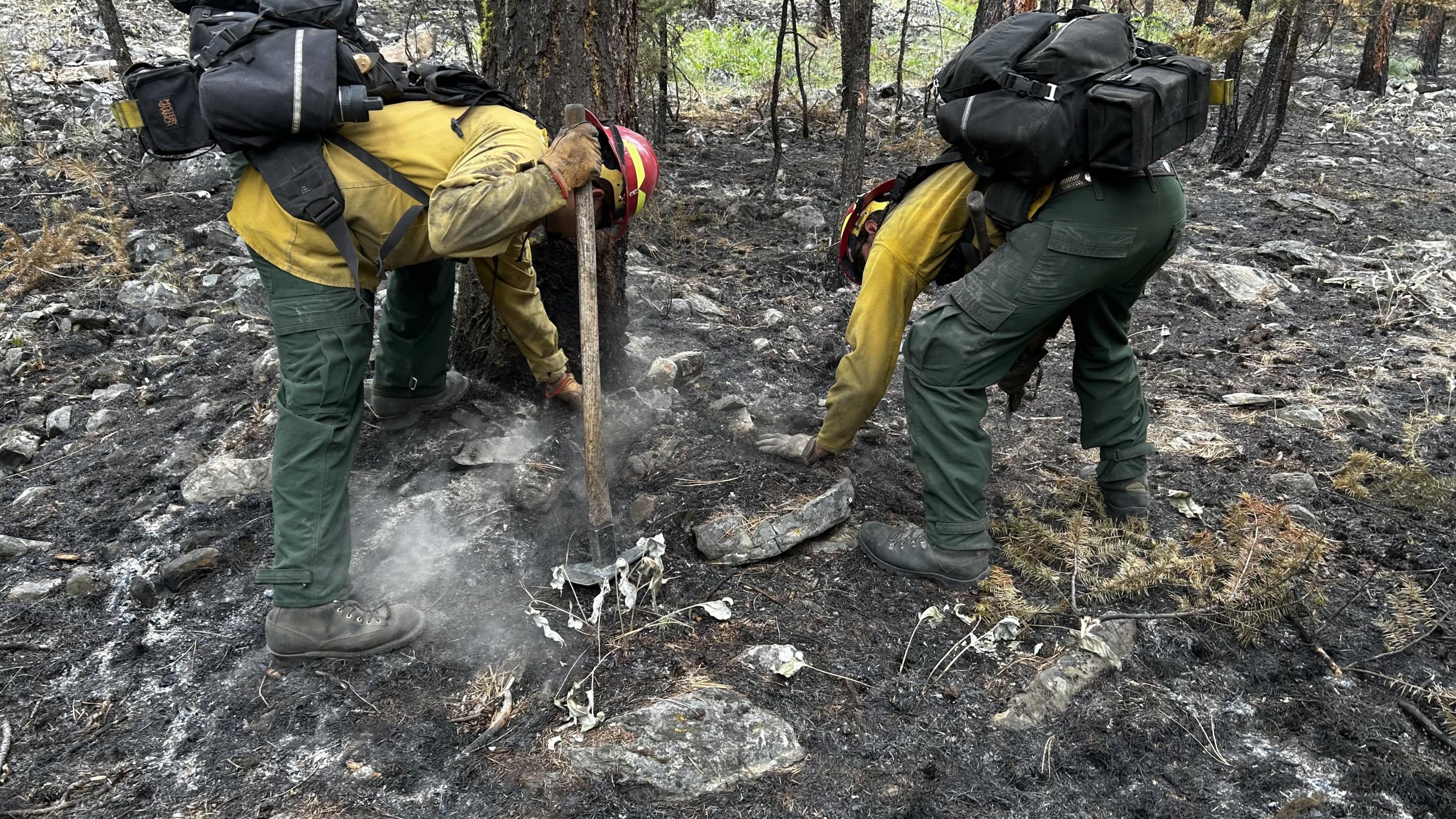 Crews cold trailing on the Banana Lake Fire 06/06/2025