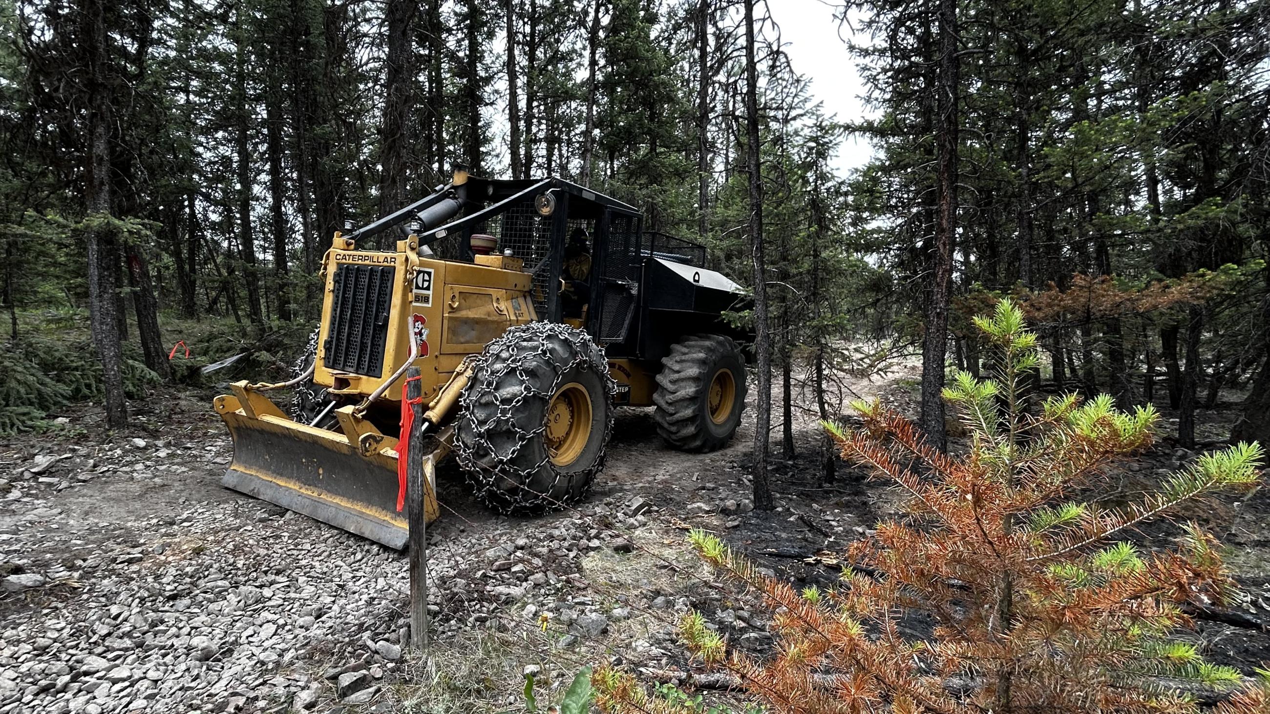 Skidgeon on the Banana Lake Fire