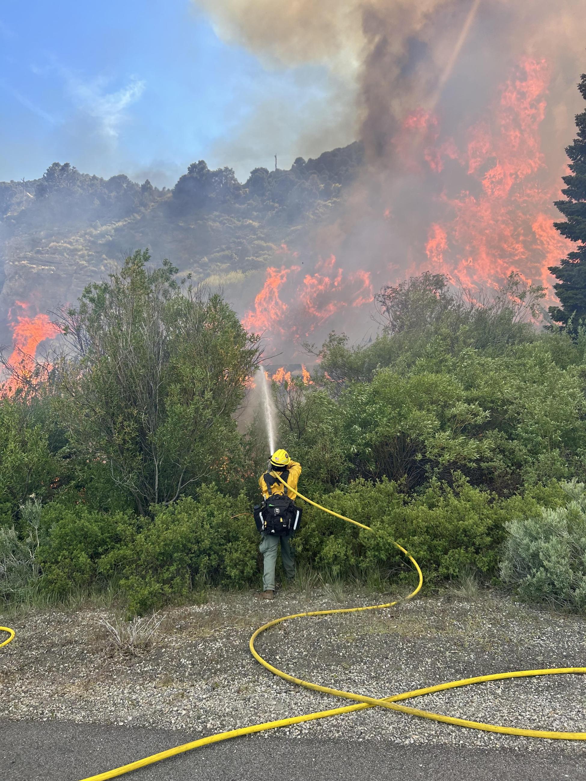 Firefighter, hose, brush, flames, smoke, hills, sky