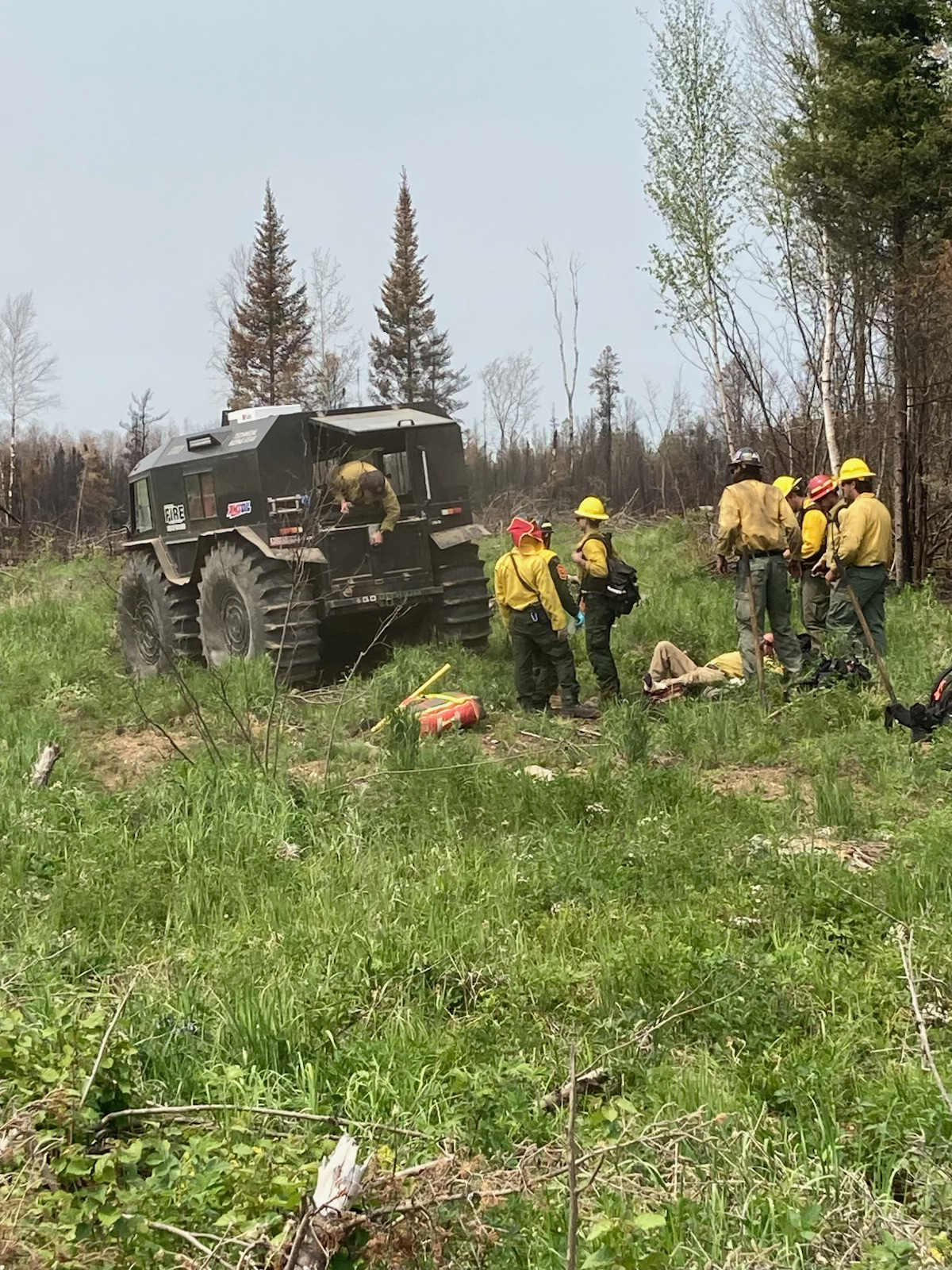 Wildland firefighters in yellow protective gear conduct an emergency response drill in a grassy clearing near a Sherp all-terrain vehicle. One firefighter lies on the ground as part of a mock medical scenario, while others stand nearby discussing next steps. Burned trees and green foliage surround the area.