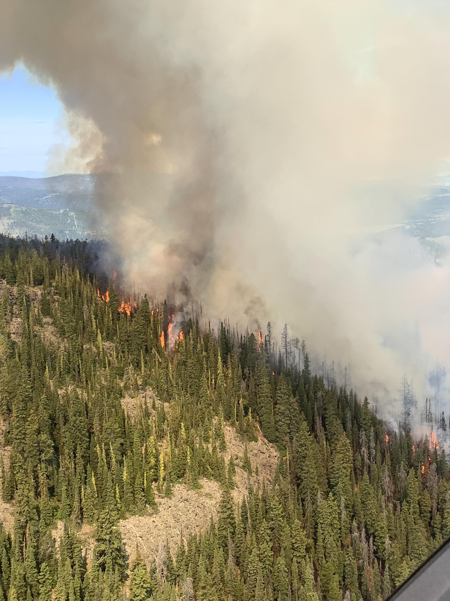 Aerial view of fire burning in dense timber