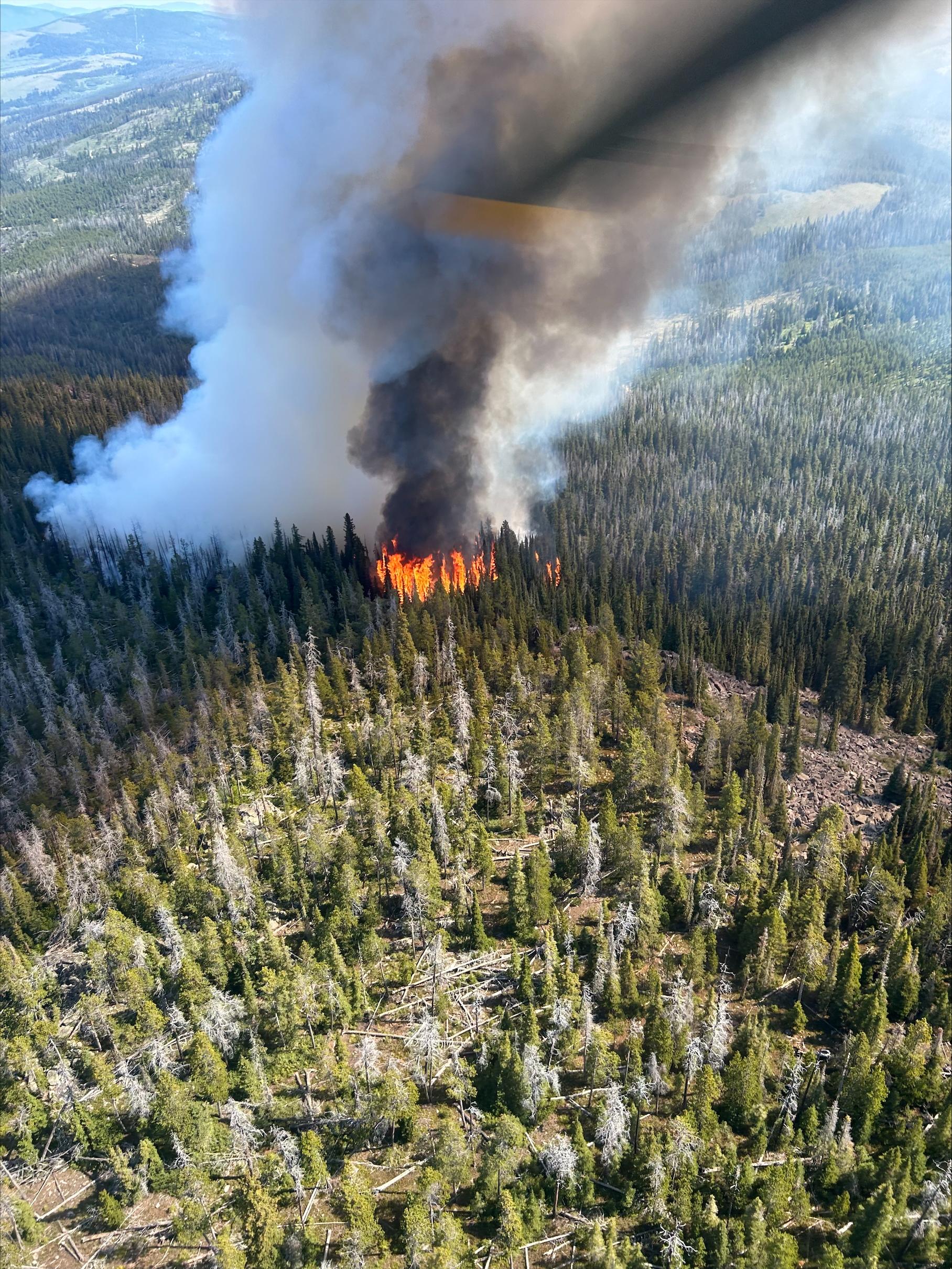 Aerial View of Fire Burning in Heavy Timber