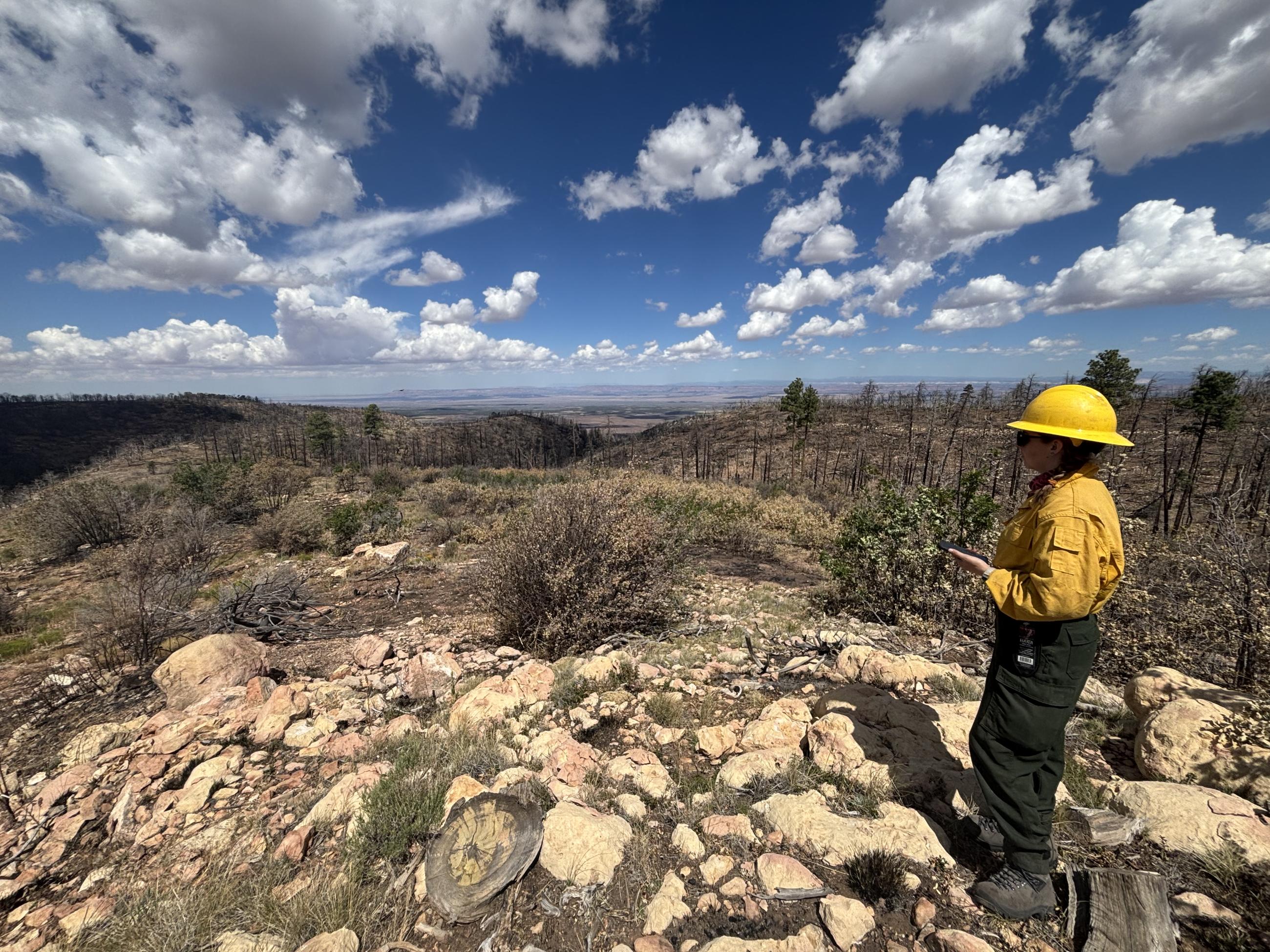 White Sage Fire BAER watershed survey (KNF-NKRD) - 01 A...