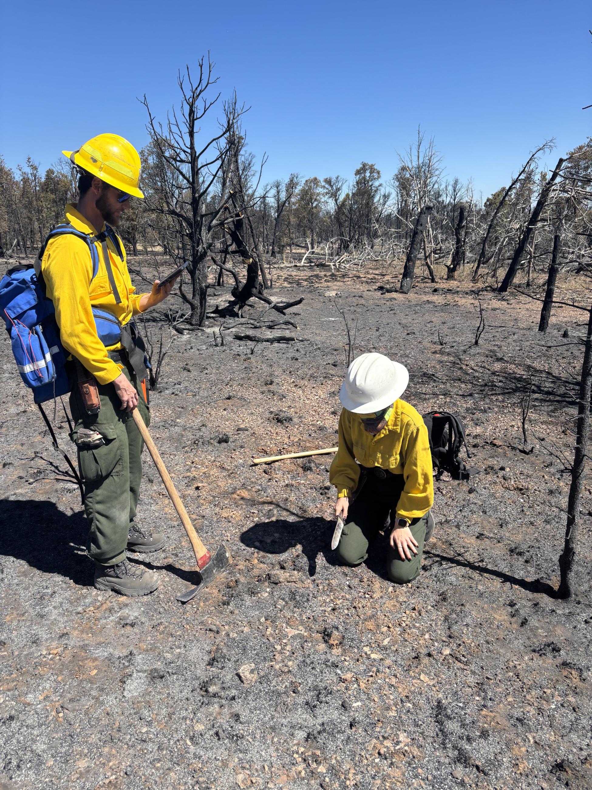 White Sage BAER soil burn severity check (KNF-NKRD) - 3...