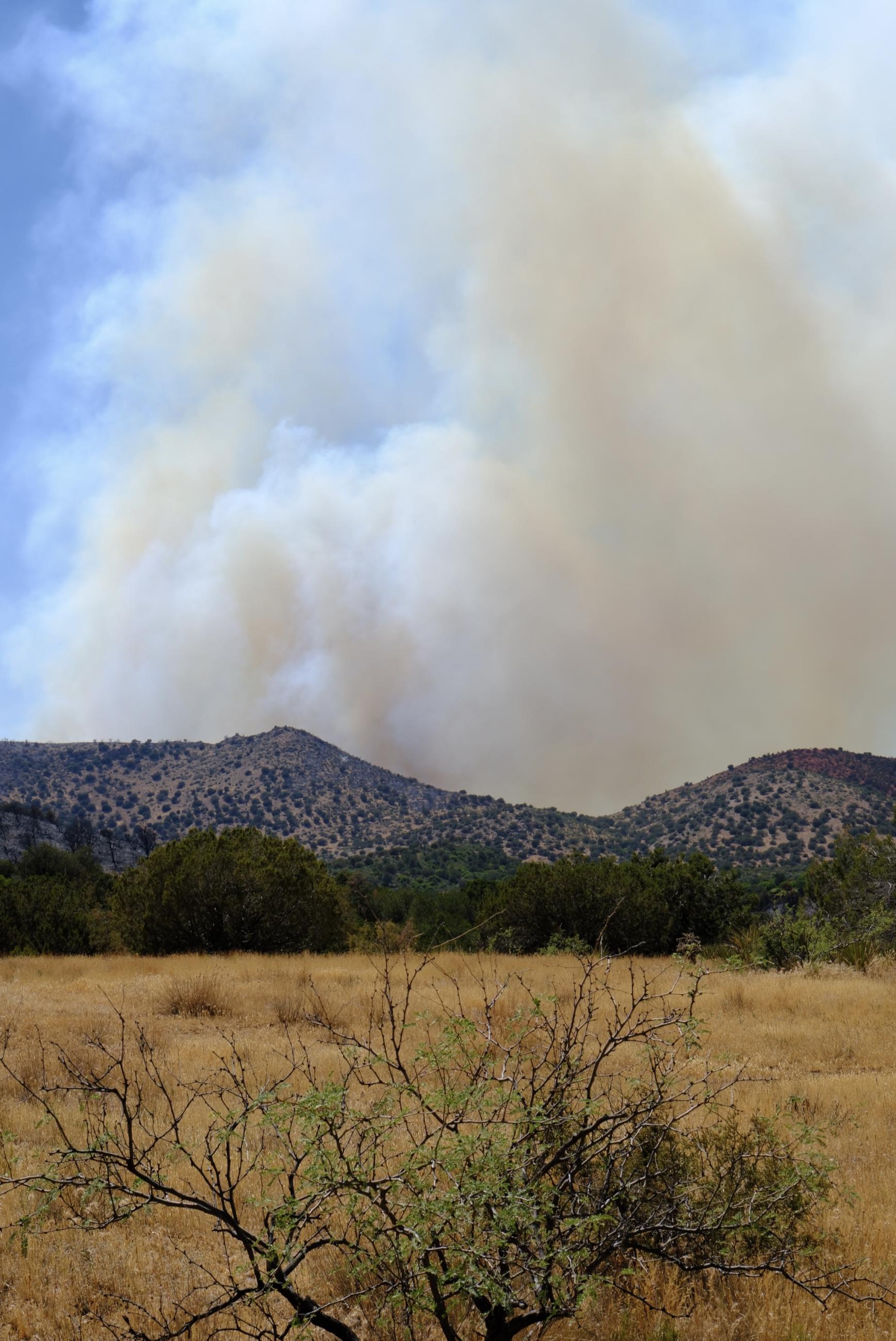 Fire activity east side 061926
