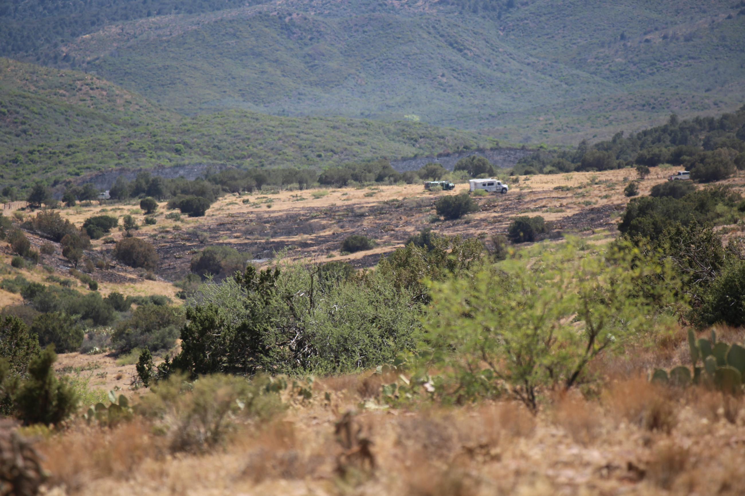 Burned area