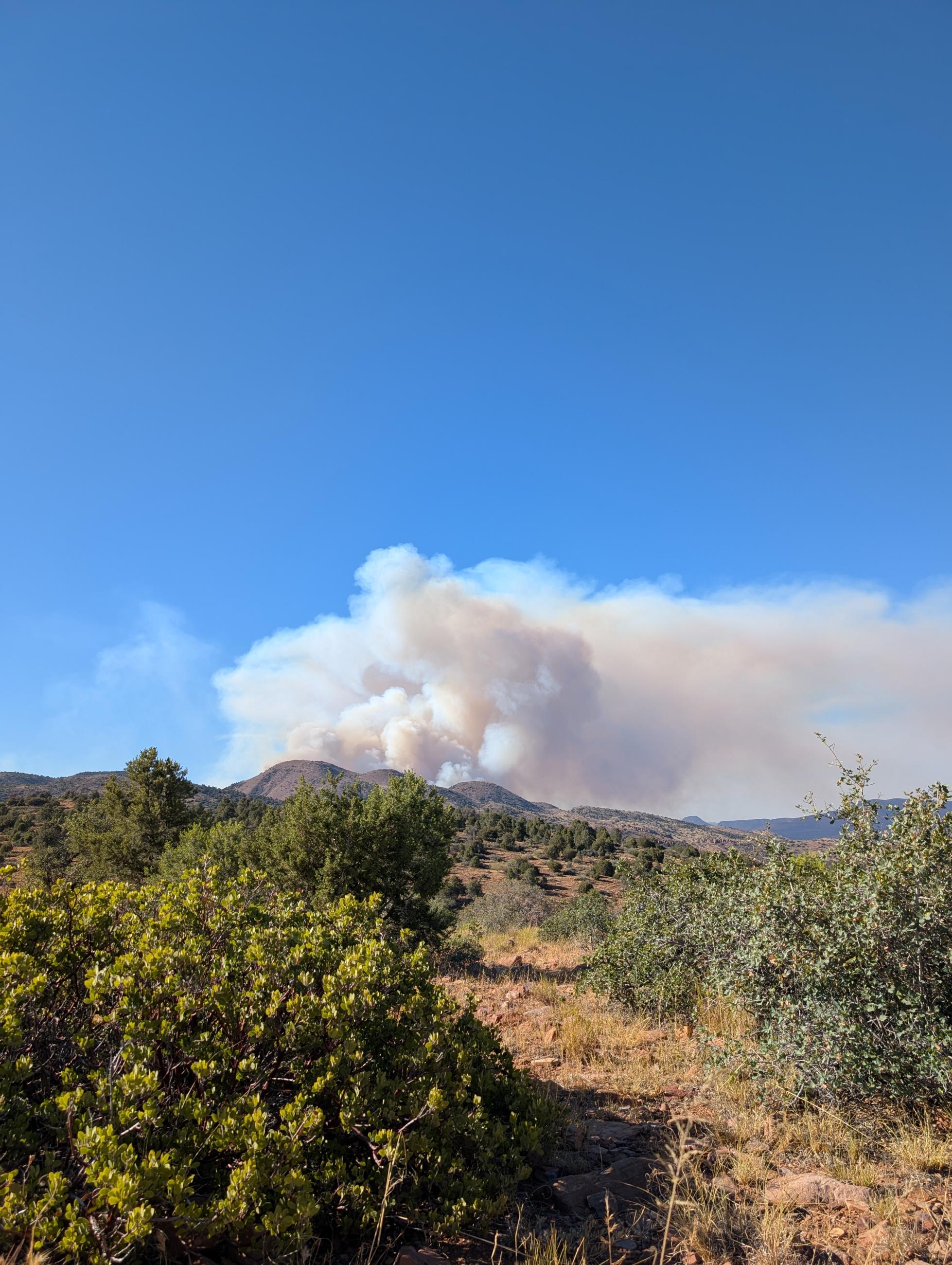 Fire activity 061926