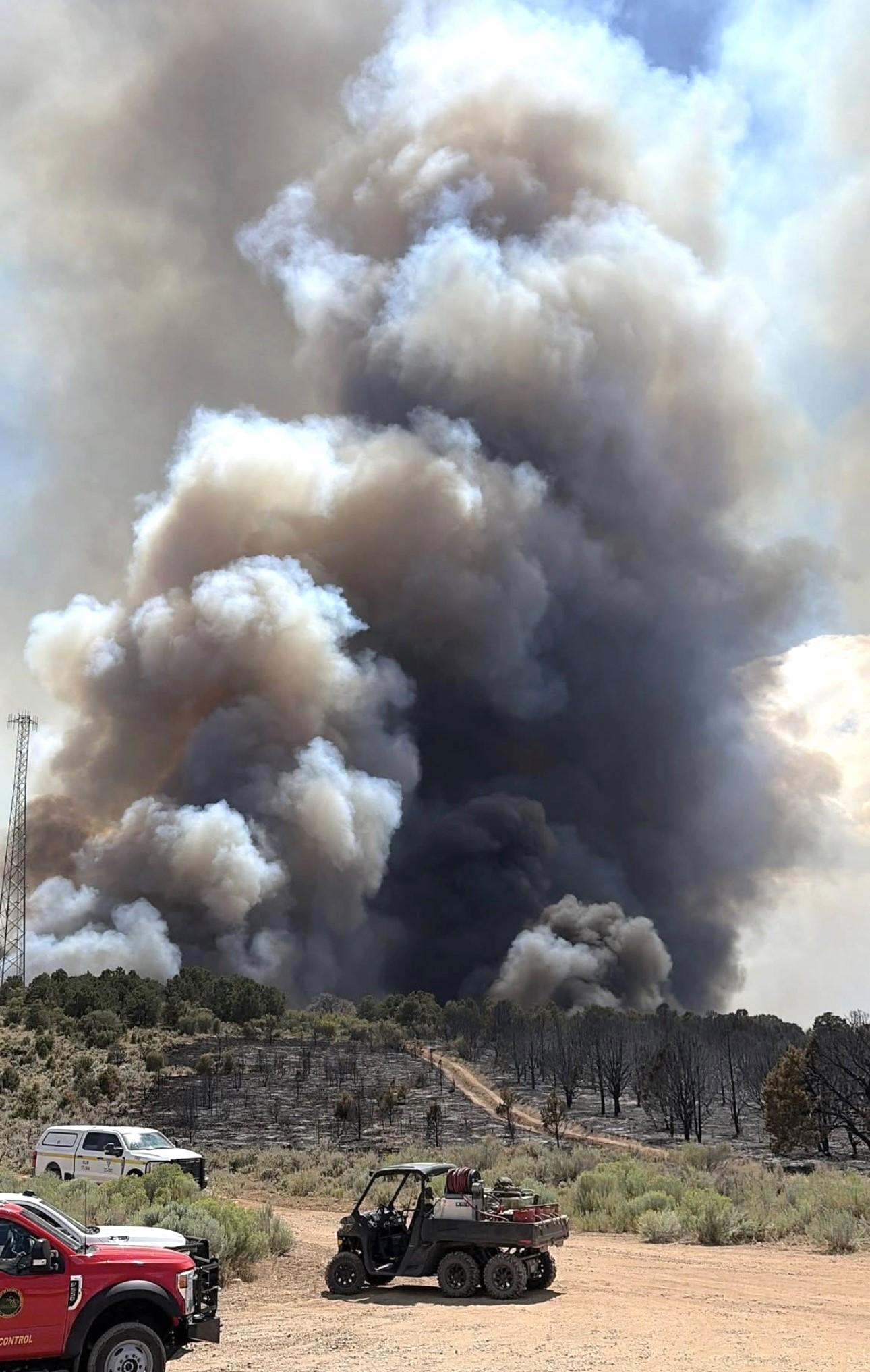Photo of wildfire with a thick, dark plume of smoke burning surrounding shrubs and grasses near Meeker, CO.
