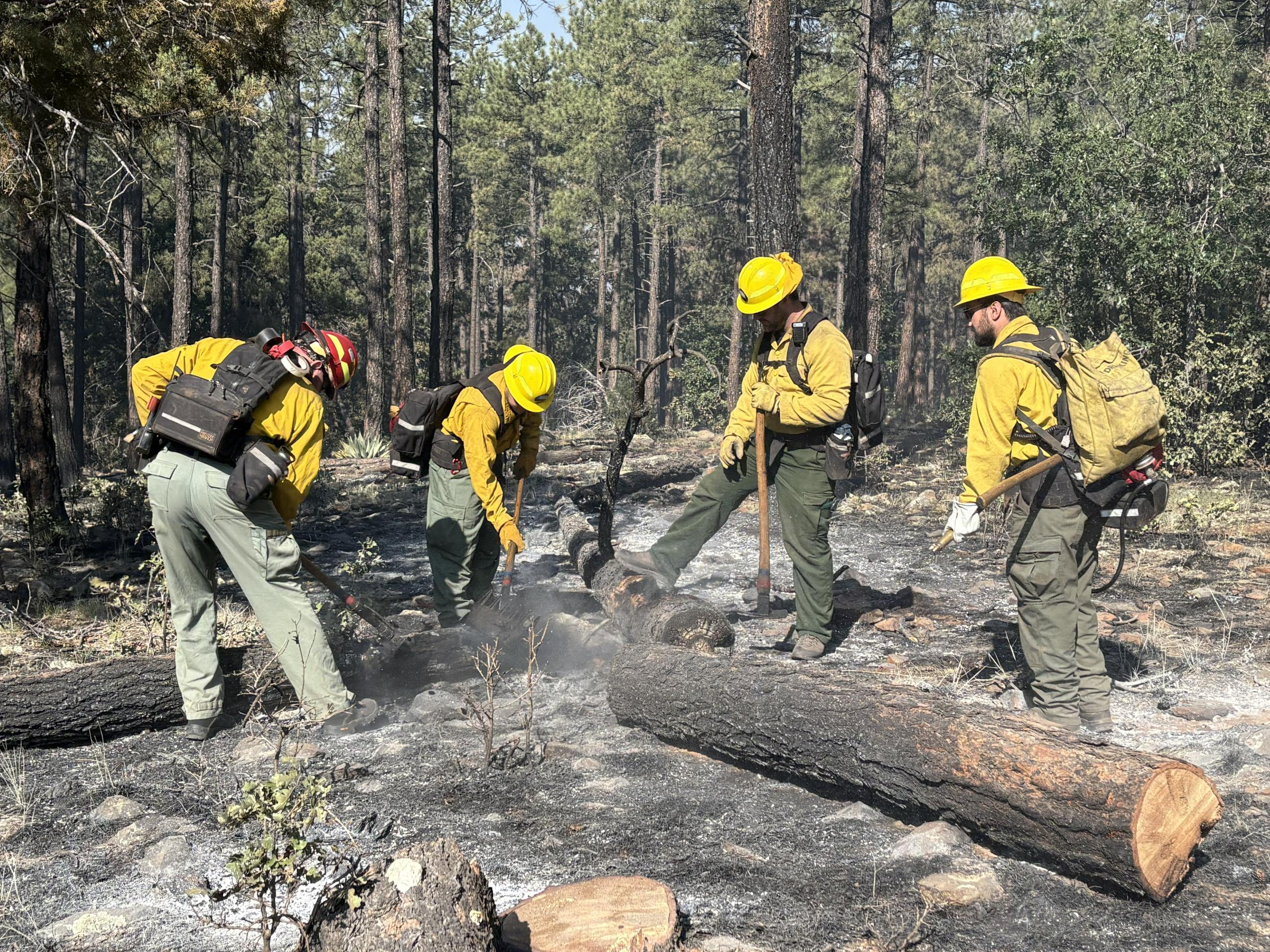 Fire Fighters Conducting Mop Up
